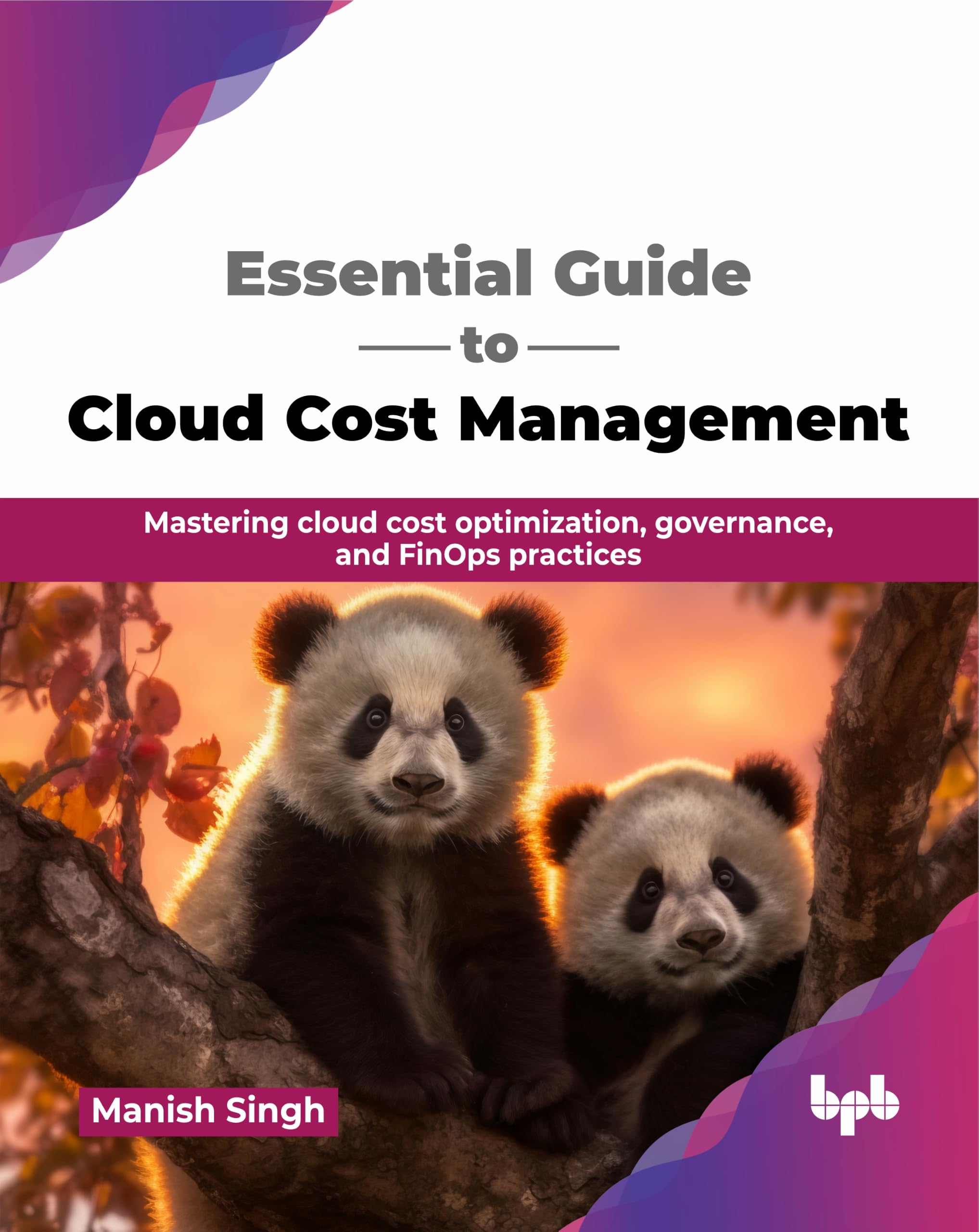 Essential Guide to Cloud Cost Management: Mastering cloud cost optimization, governance, and FinOps practices (English Edition)