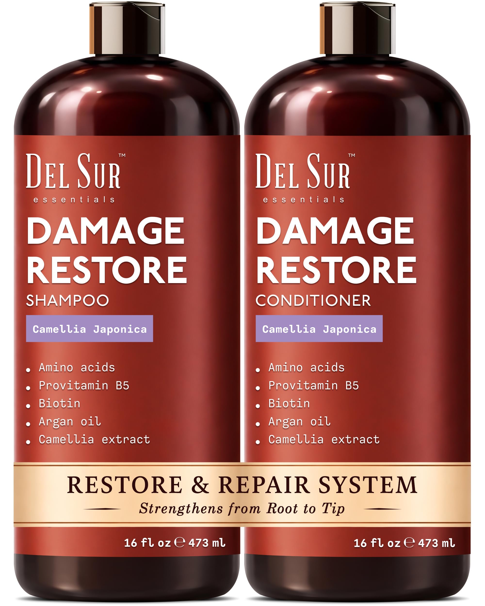 Amazon.com : DEL SUR Hair Repair Shampoo and Conditioner Set | 16