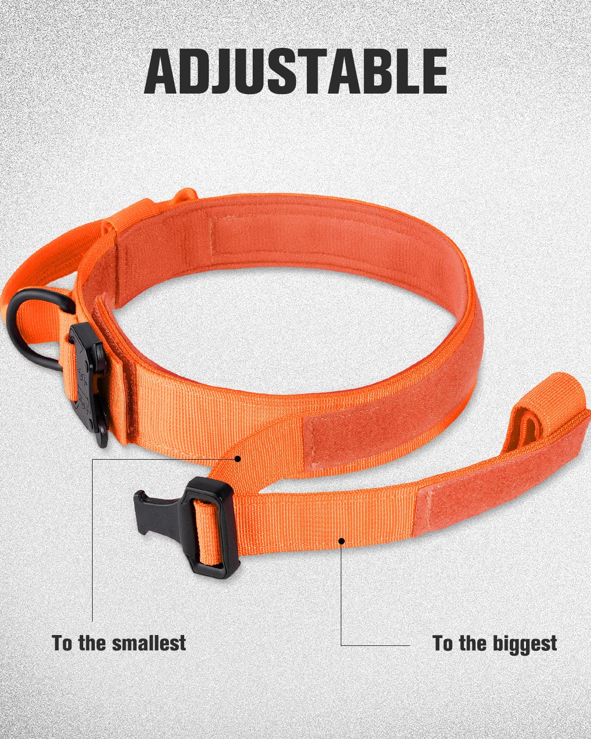 Collare Tattico Per Cane Taglia Media - In Nylon, Con Fibbia Metallo, Regolabile, Turchese, Misura M - Foto 10