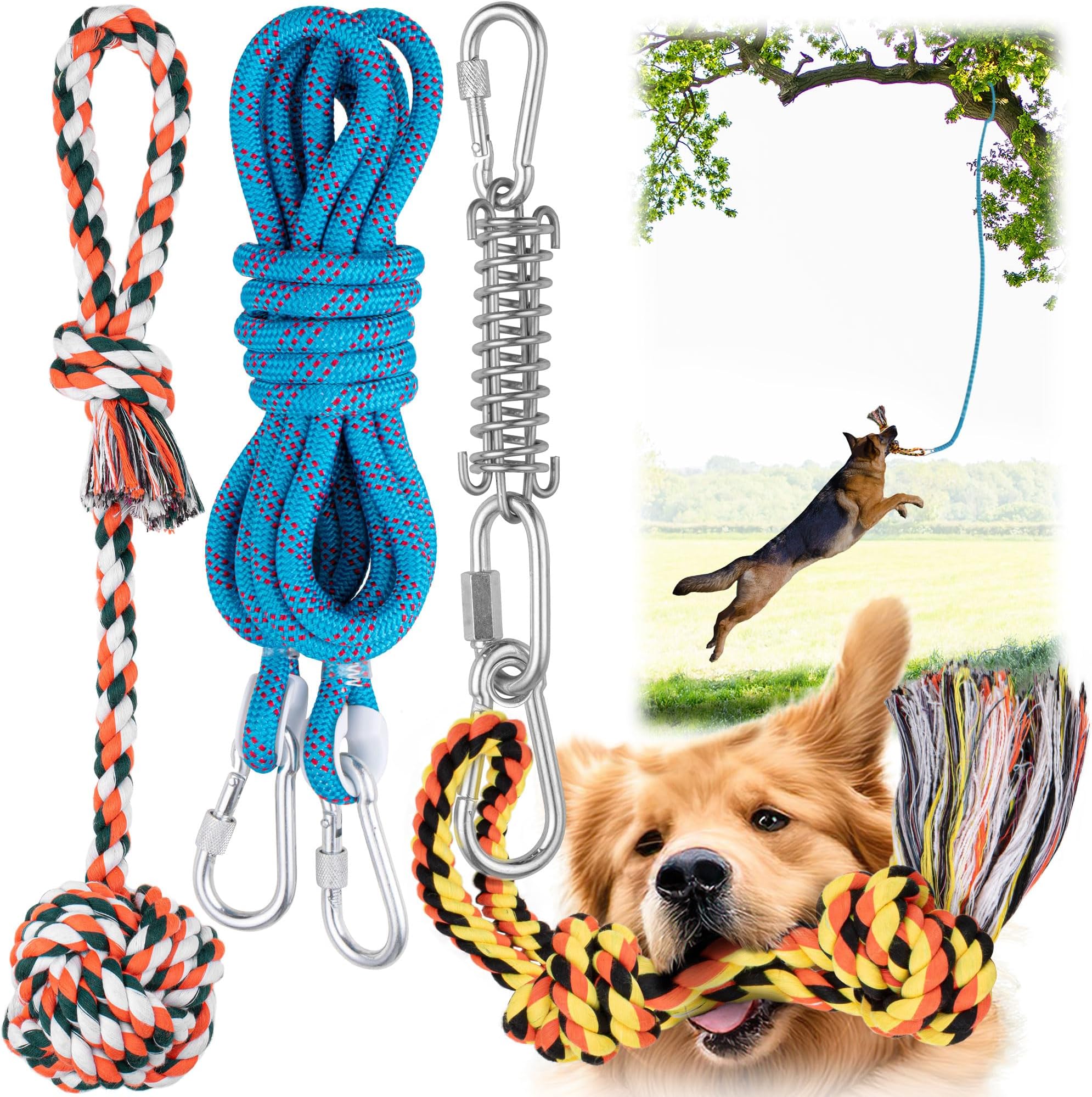 1 Spring & 2 Rope Toys