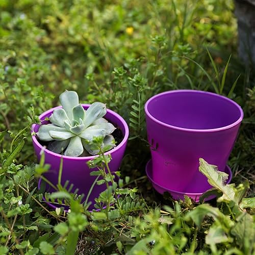 Miniatura 5 de TDHDIKE 25 macetas de plástico para interiores, mini plantas de semillero de flores, maceta de viveromaceta con paleta, contenedores decorativos