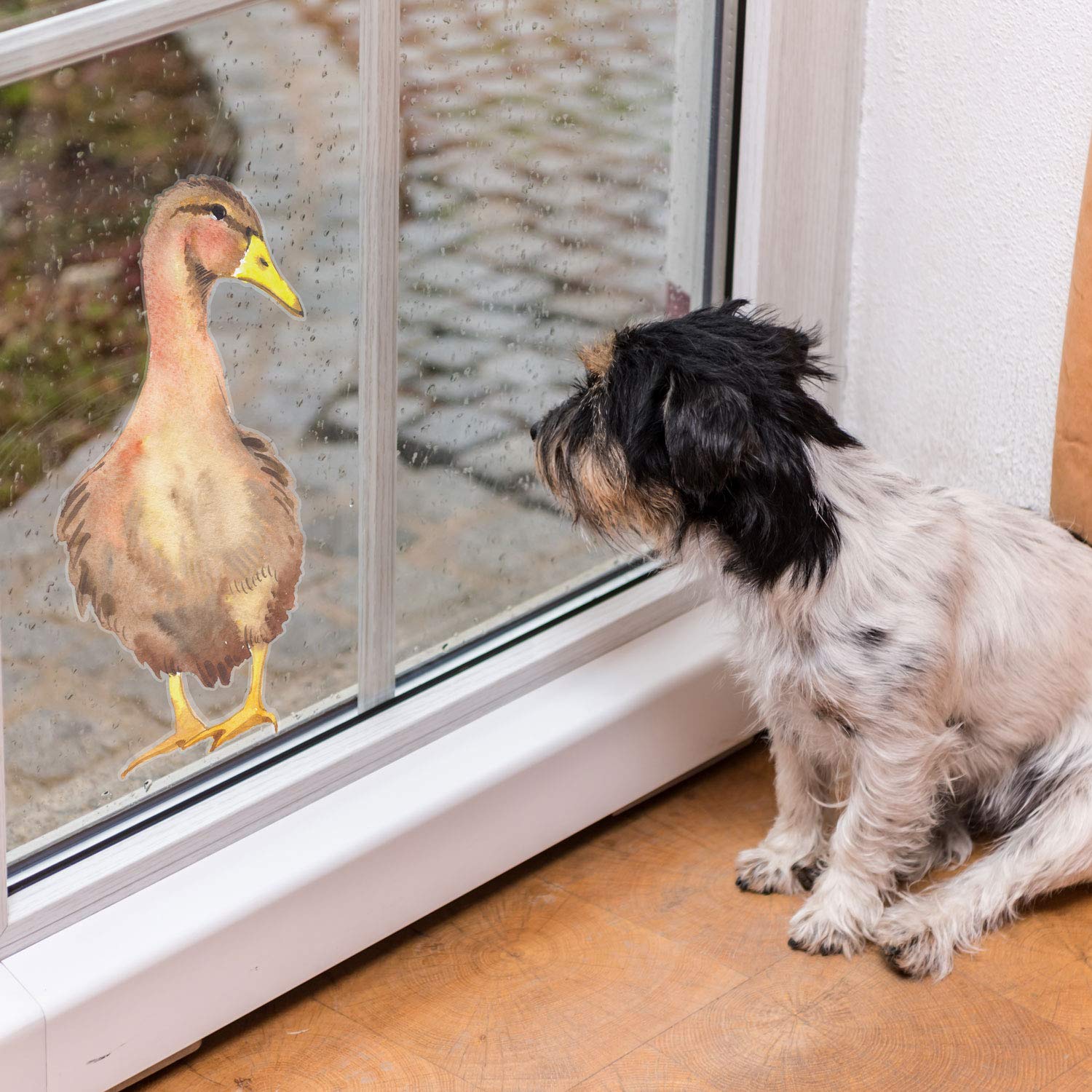 Stickerscape Women's Duck - Option 2 Bird Window Stickers (Duck - Option 2) | Spring Window Decal, Bird Window Decor, Spring Window Stickers | Easy To Apply, Cleanly Removable And Repositionable