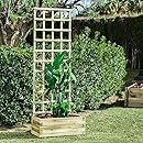 Macetero de enrejado: Amazon.es: Jardín