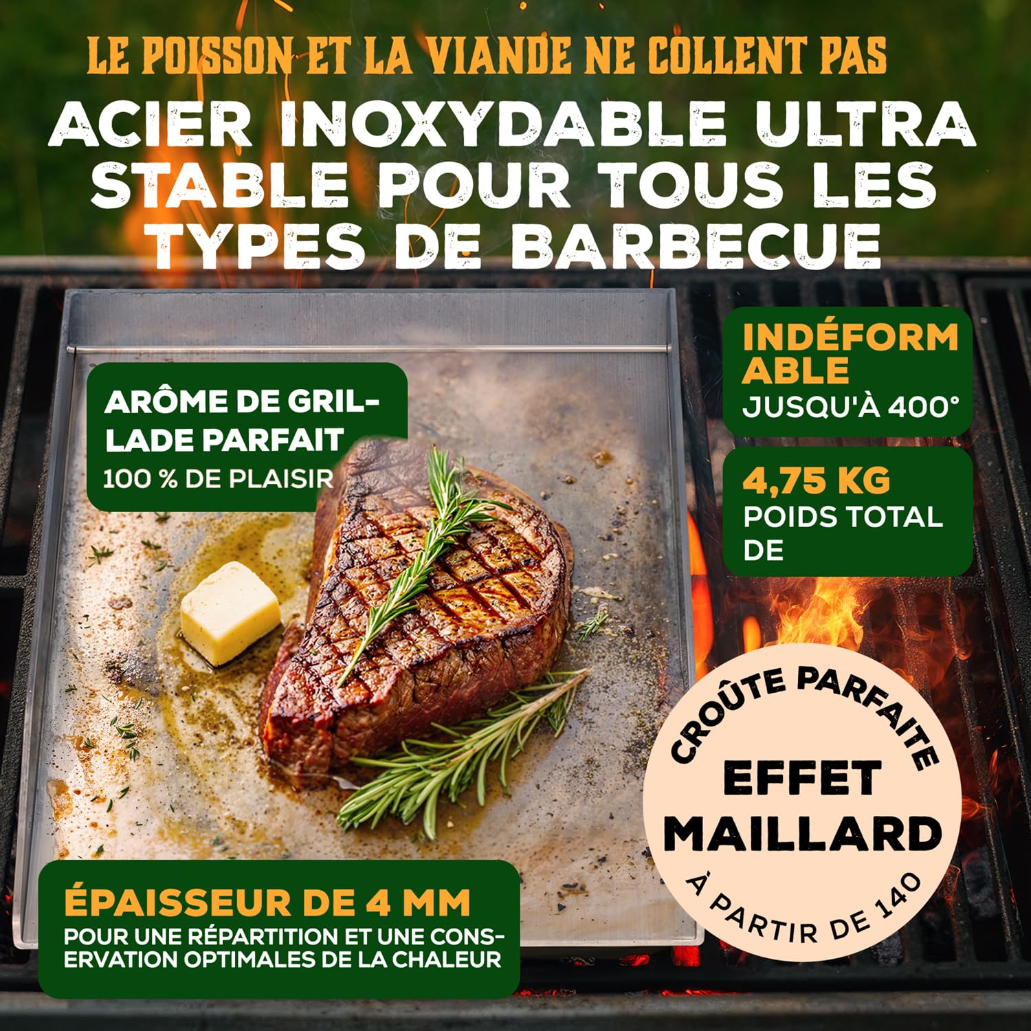 Blumtal set piastra per barbecue plancha in acciaio inox con 2 spatole e bottiglia per olio - 30x40 cm piastra acciaio per barbecue - piastra barbecue gas per aromi perfetti - plancha a gas robusta