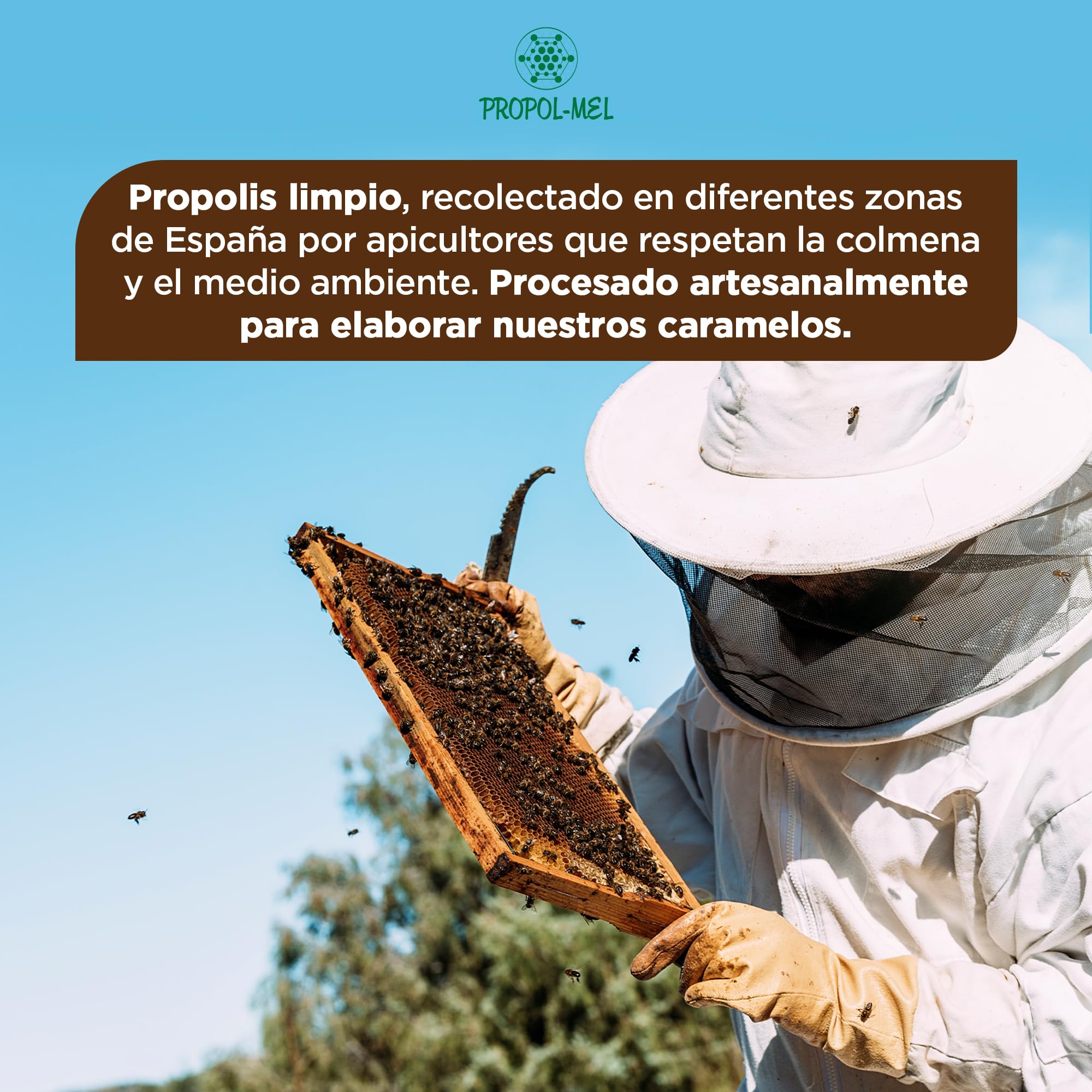 500 g - Caramelos de Propoleo Sin gluten y Sin azucar. Elaborado con propolis puro finamente troceado. Recomendado para el mal aliento, el aparato bucal y la garganta.