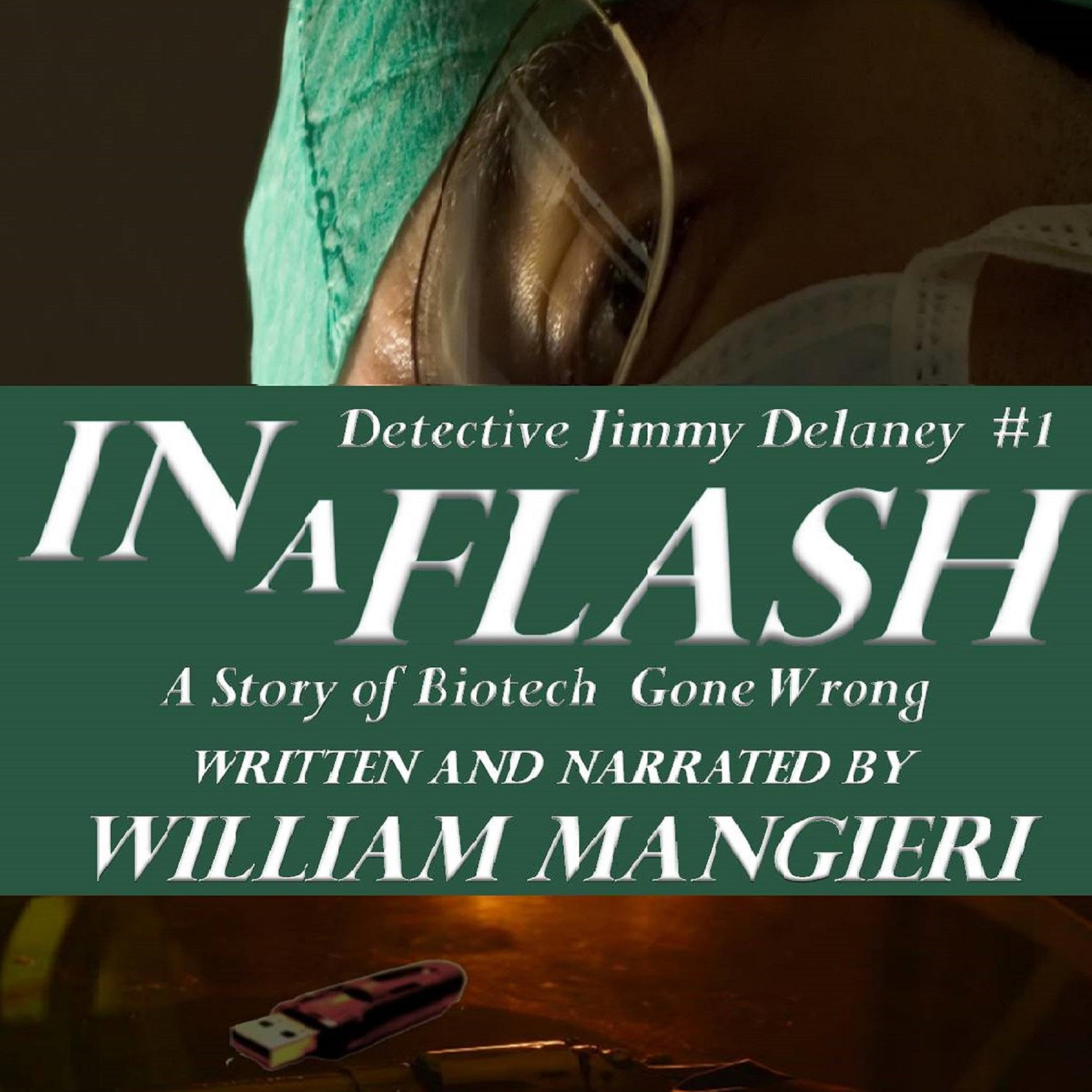 Cover art for In A Flash: Detective Jimmy Delaney, Book 1