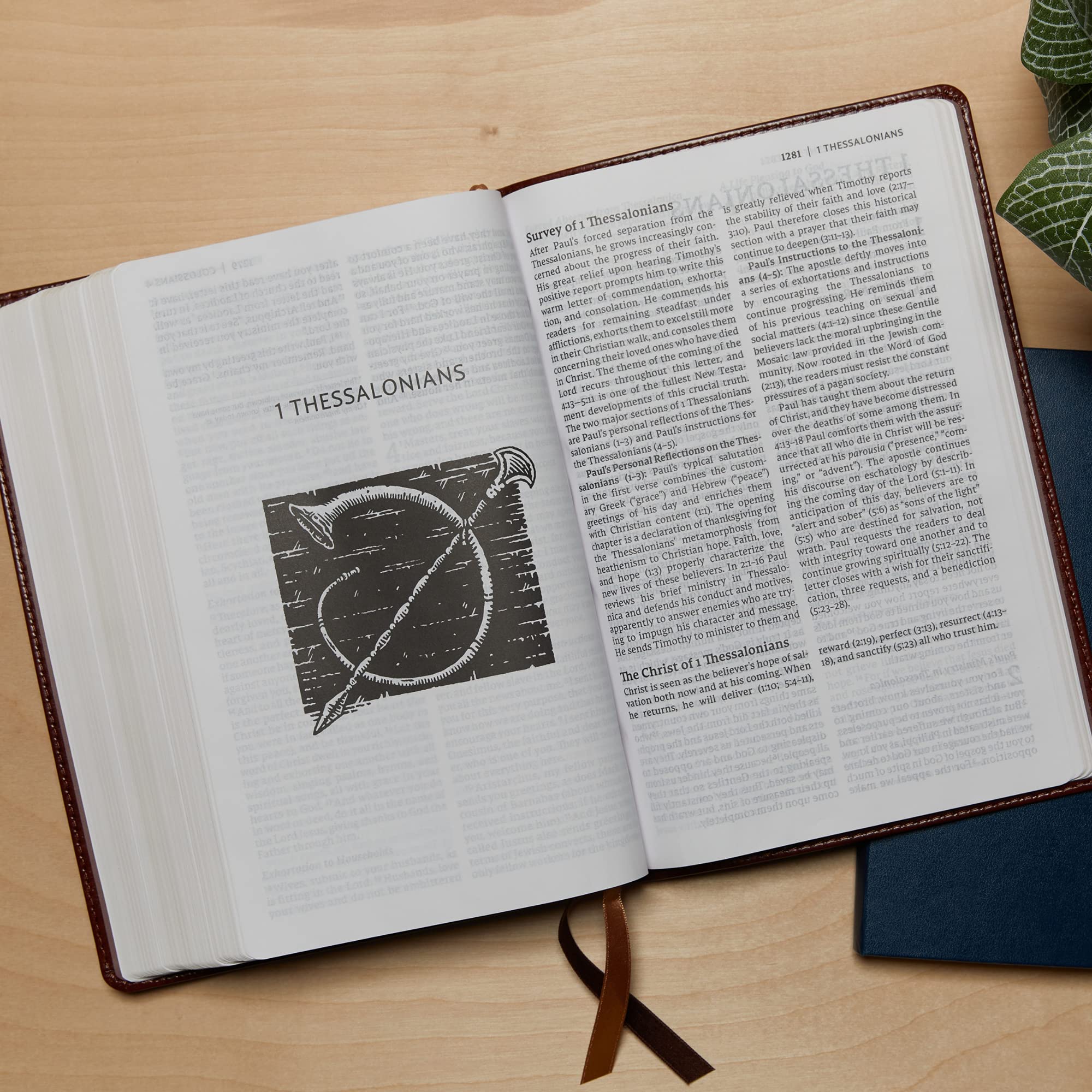 NET Bible, Thinline Art Edition, Large Print, Leathersoft, Blue, Comfort Print: Holy Bible - Image 8