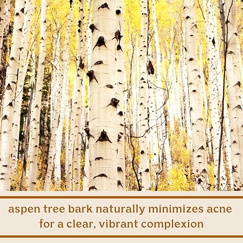 Miniatura 5 de Solluna by Kimberly Snyder Limpiador facial hidratante antienvejecimiento, lavado facial suave con pH equilibrado, aceites naturales hidratantes y