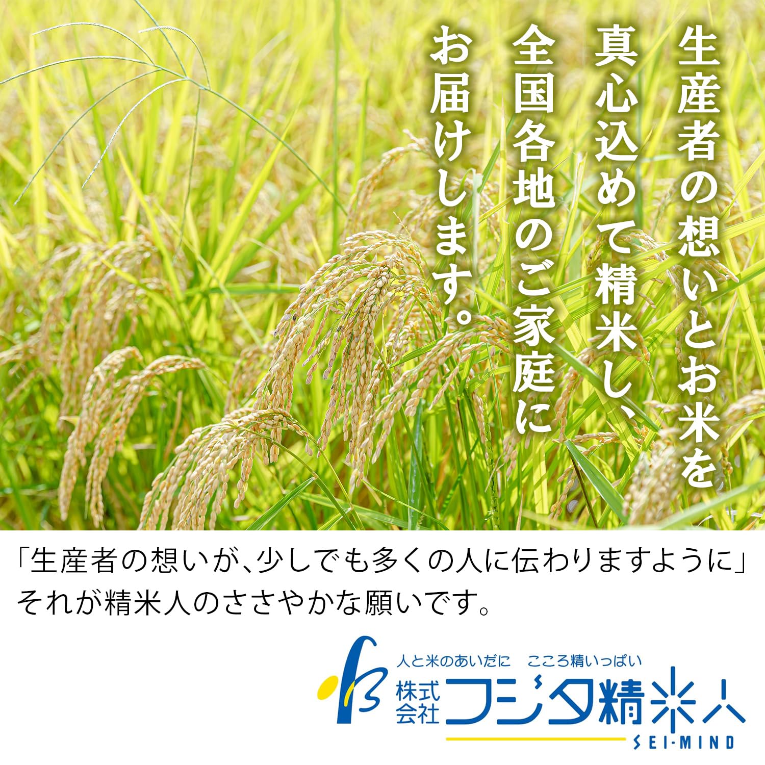 Amazon.co.jp: 【精米】令和7年産 兵庫だより（兵庫県産米ブレンド