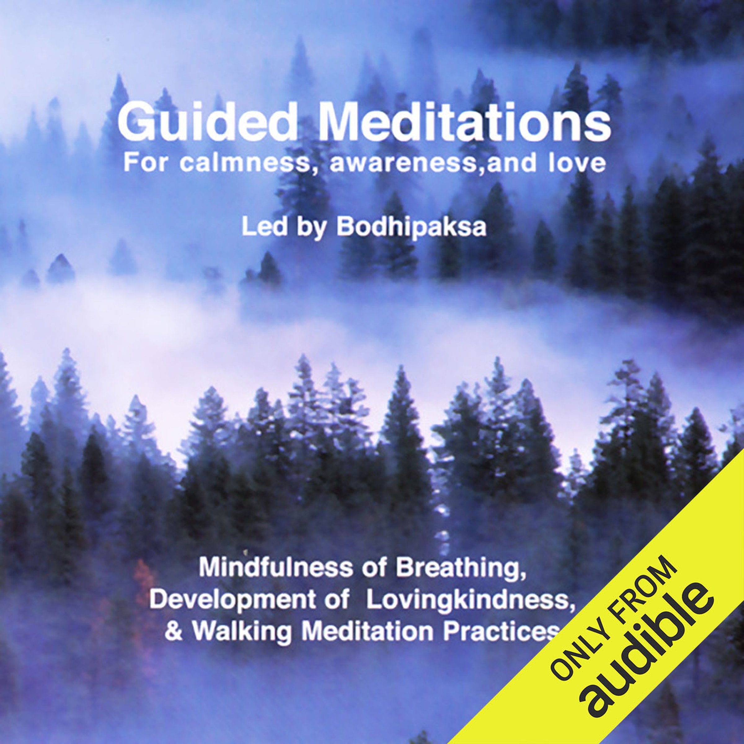 Guided Meditations