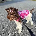 Review Image by Maker in Paradise Maker in Paradise