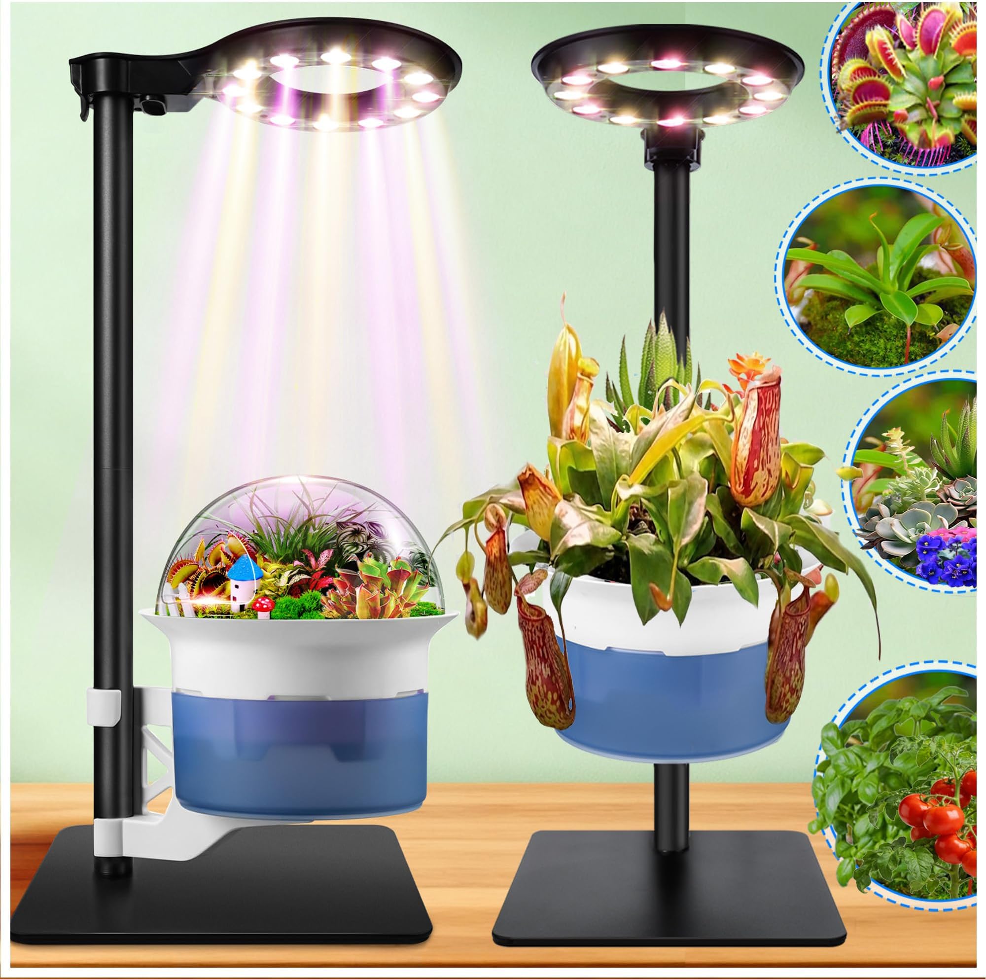 Smart Plant Lights for Indoor Growing,Venus Fly Trap Terrarium Kit with Light...