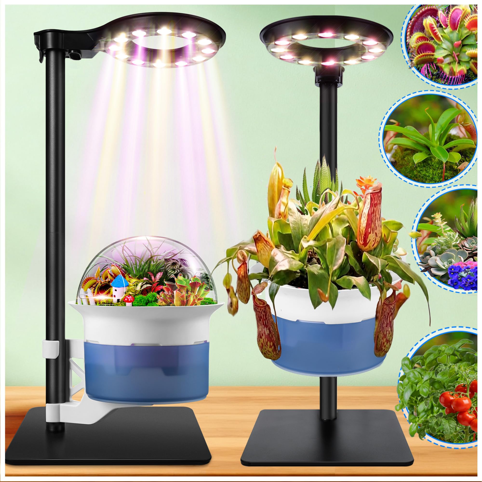 Large Plant Venus Fly Trap Terrarium Kit with Grow Light Timer&Metal Stand, African Violet Pots Self Watering Planter for Herbs,Carnivorous Plants,Valentine Gardening Gifts for Mom Women Garden Lover