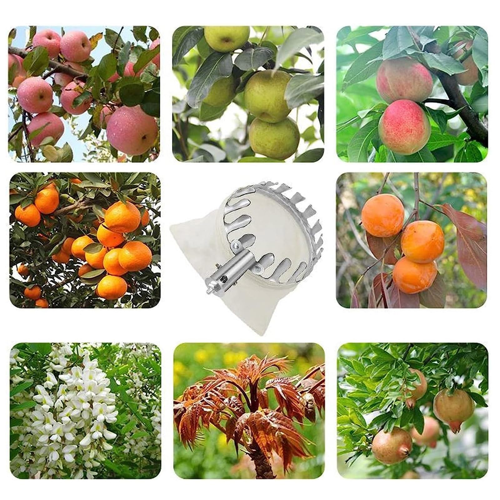 Praktischer Obstpflücker Mit Teleskopstange, Obstsammler Kirschpflücker Pflückhilfe Edelstahlpflücker Obstsammler Praktische Erntehilfe Für Die Birnen-Zitronen-Orangen,A,6m/19.7ft(A,5m/16ft)