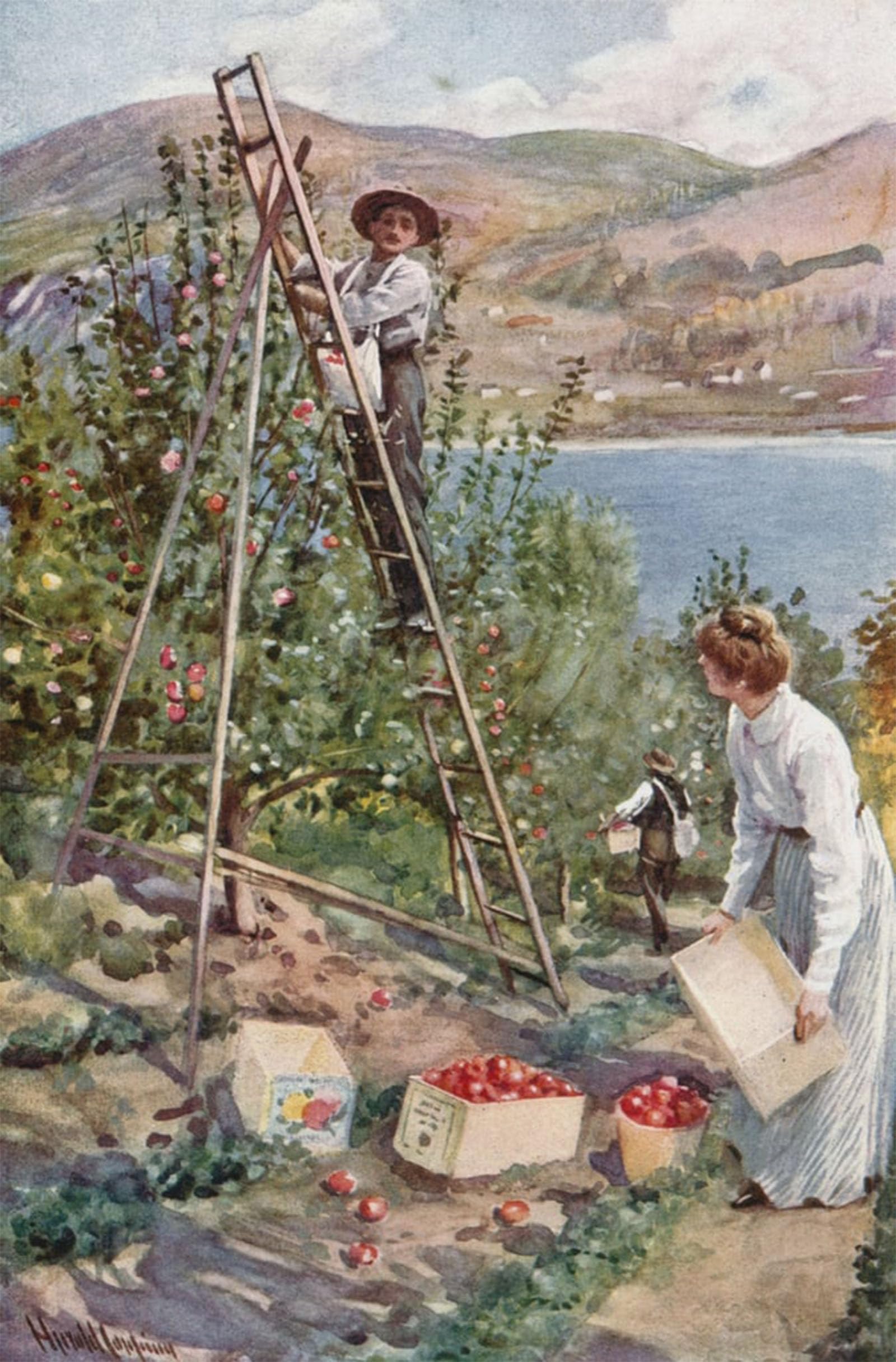 SERENDIPITP Vintage Wall Art Canvas Nordic Poster Canvas Print Picture a Fruit Ranch At Nelson British by Harold Copping Wall Art Poster for Home Decor 60x90cm