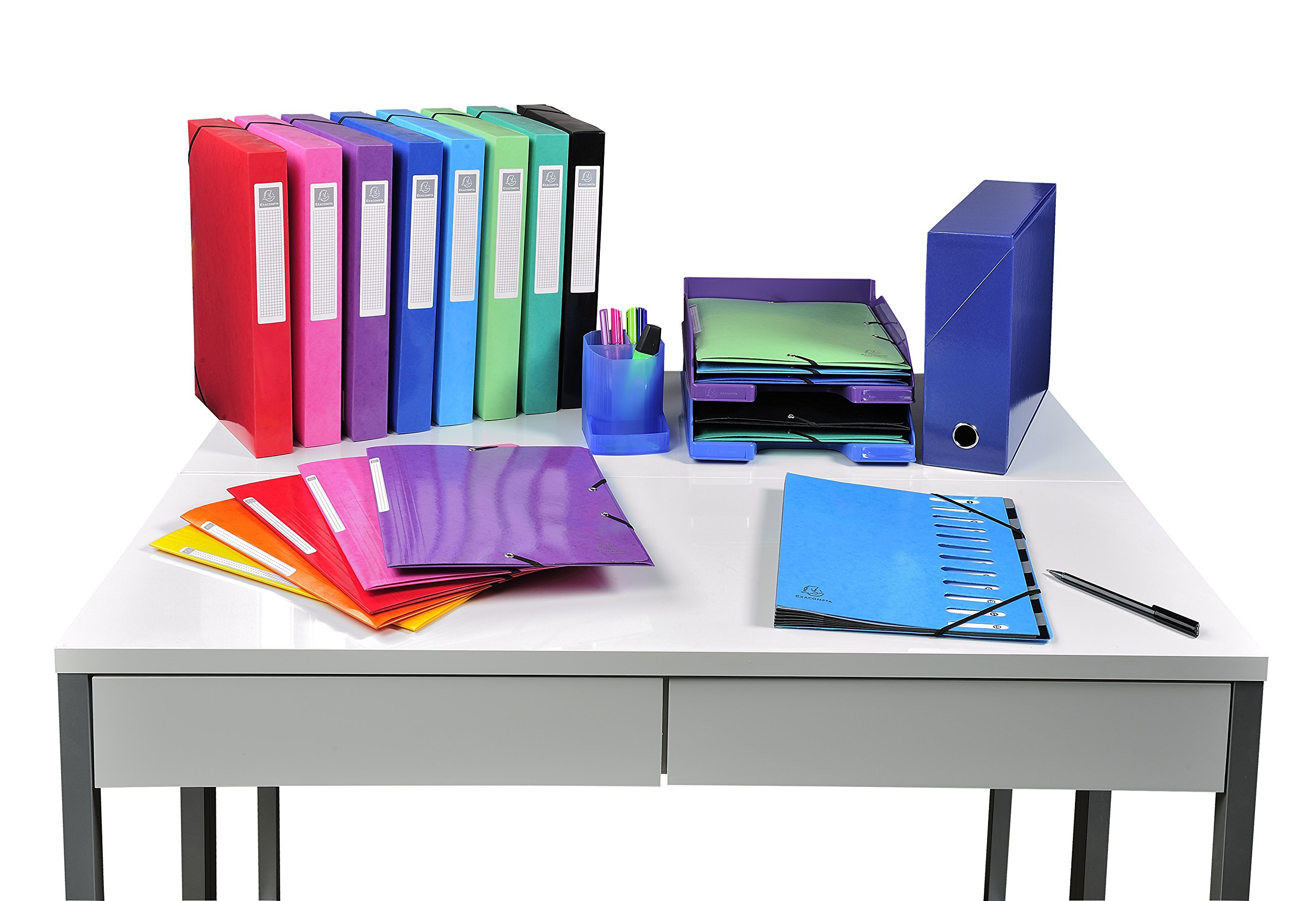 Exacompta - Ref. 89931E - Set di 5 scatole di trasferimento Iderama in cartone laminato resistente e resistente 24 x 32 cm Ideale per i tuoi documenti in formato A4 Dorso 90 mm Bianco