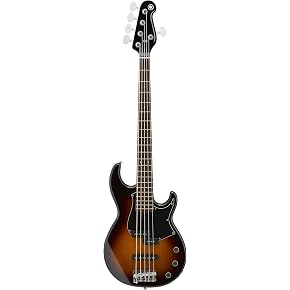 Amazon.co.jp: Electric Basses: Musical Instruments