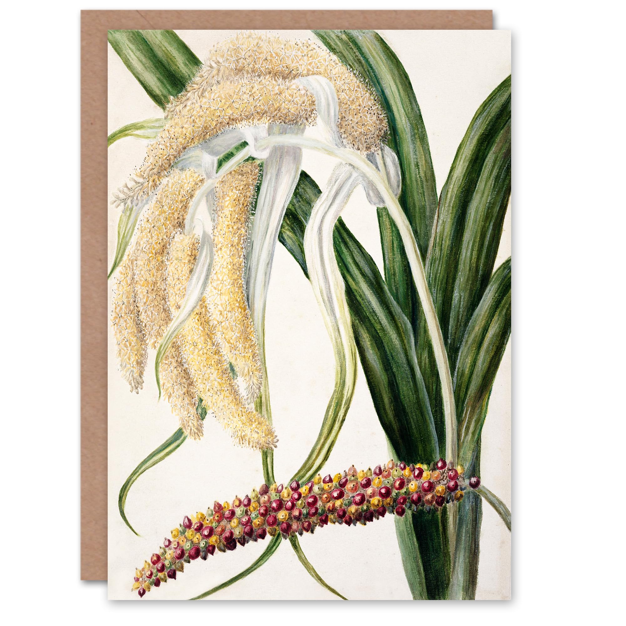 Artery8 Sarah Featon Art Card New Zealand Perching Lily Flower Plant