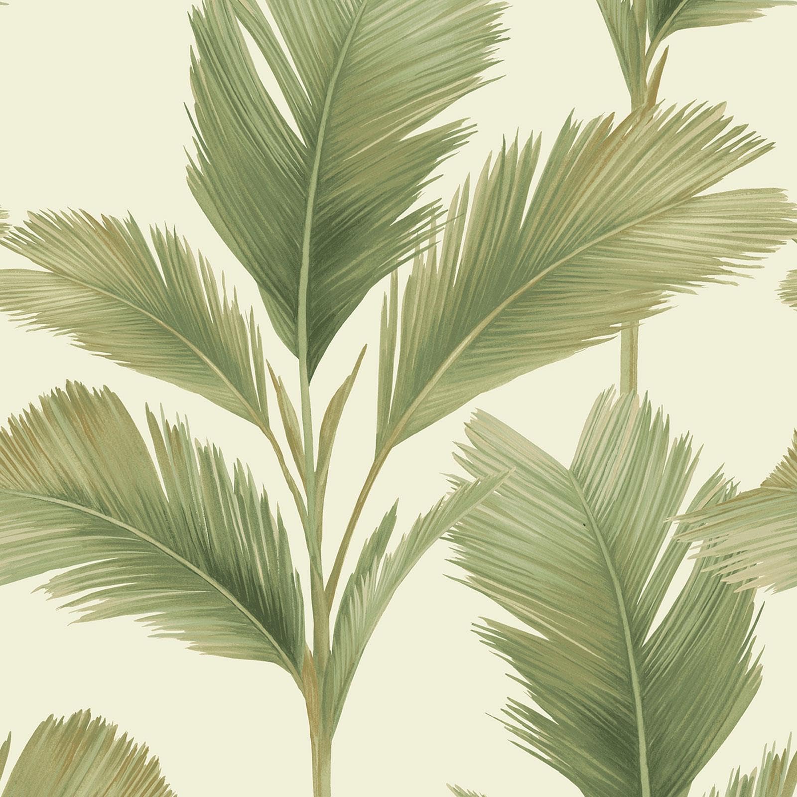Belgravia Decor Sage Green Kailani Tropical Palm Leaf Wallpaper With Matte Finish For Walldecoration, Wallcovering Hallways, Lounges, Feature Wallssage/Cream Belgravia 59122