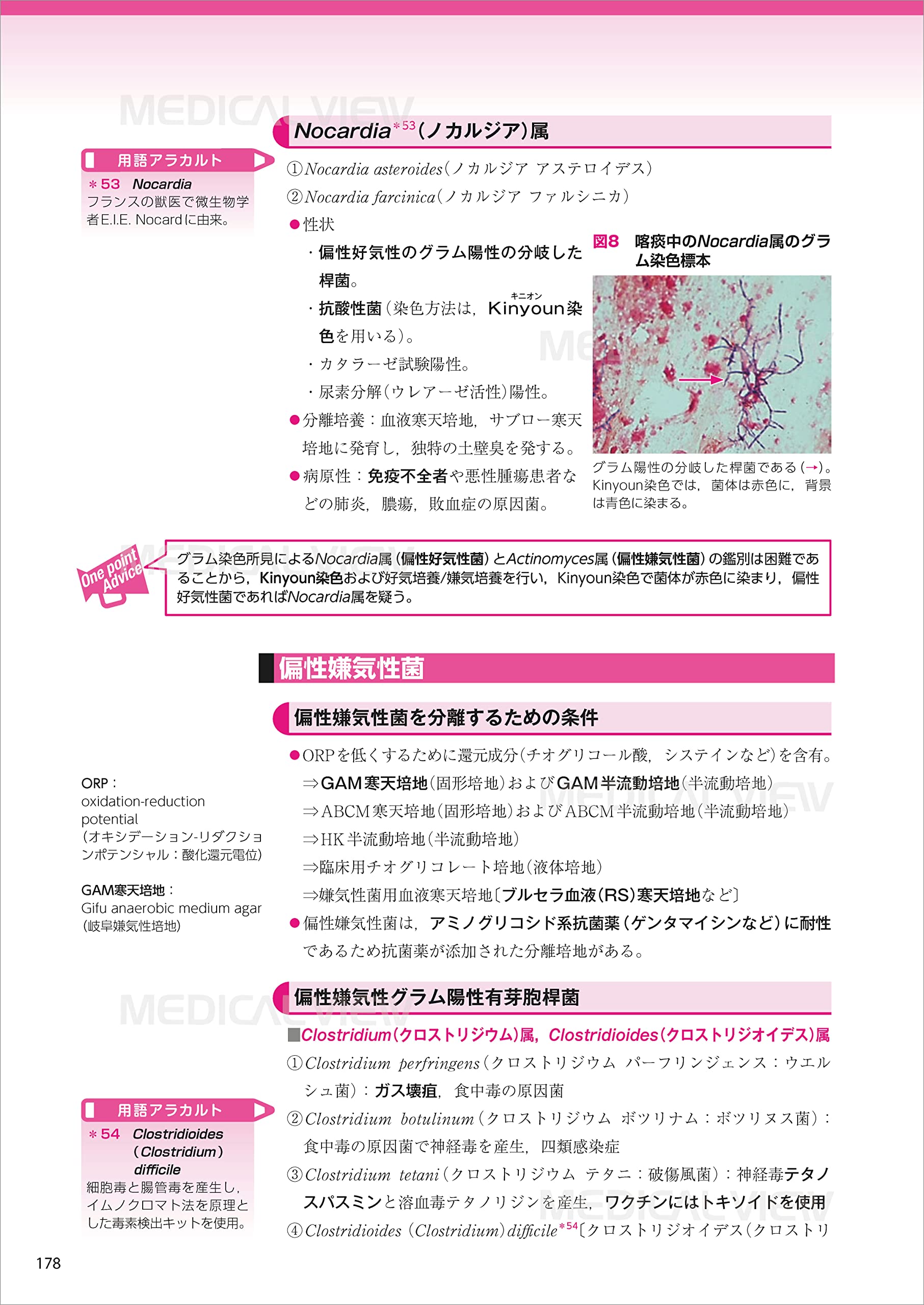 人気商品の 臨床検査技師イエロー ノート 臨床血液学 臨床微生物学 臨床免疫学 公衆衛生学 健康 医学 Smsb Gov Sd
