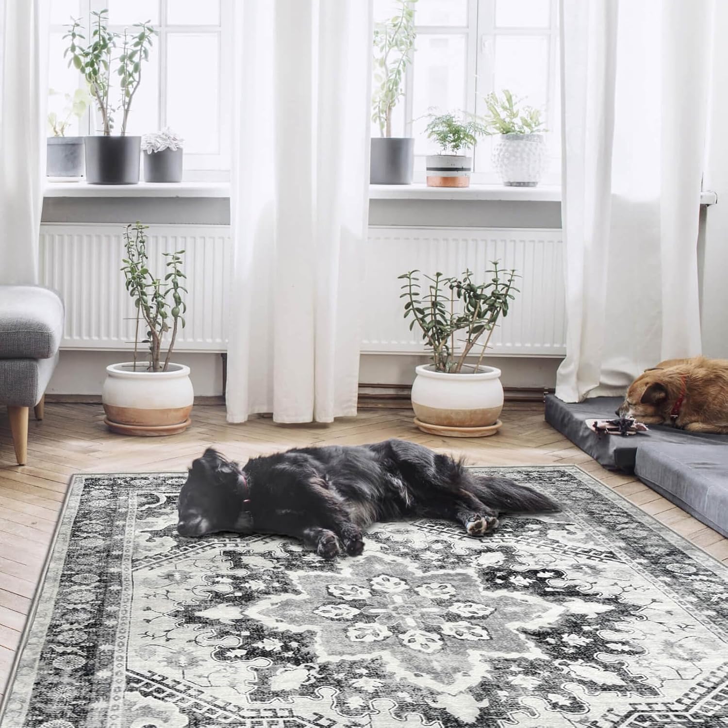 NANPIPER Washable Area Rug, 6x9 Rug with Non-Slip Backing for Living Room, Non-Shedding Distressed Rug, Vintage Medallion Accent Large Rug for Bedroom,Dinning Room(6'x9', Light Grey)
