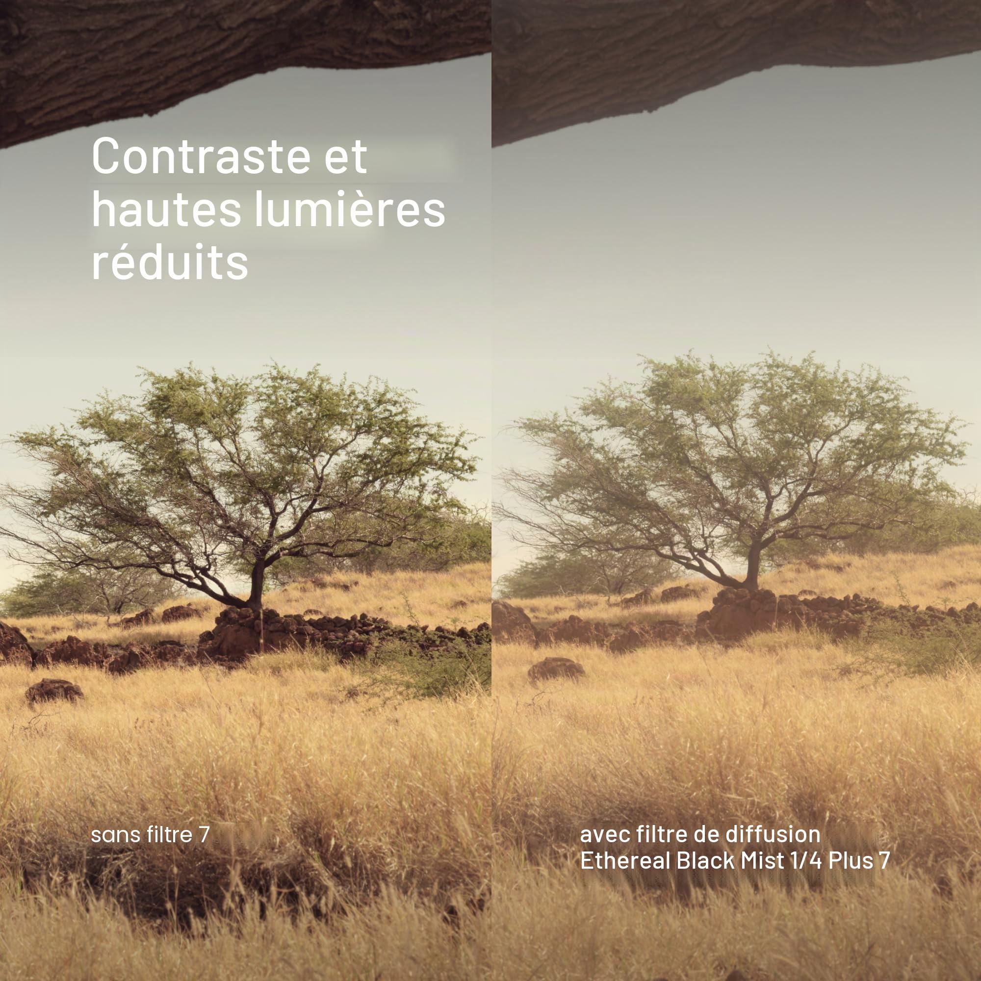 Urth 39 mm Filtro di Diffusione ¼ Etereo Black Mist (Plus) – Effetto Cinematografico per Obiettivo, Nano Rivestimento 20 Strati, Diffusione Luce per Fotocamera