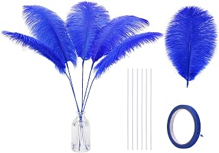 Holmgren Royal Blue Ostrich Feathers for Vase, 20pcs Making Kit 22 Inch