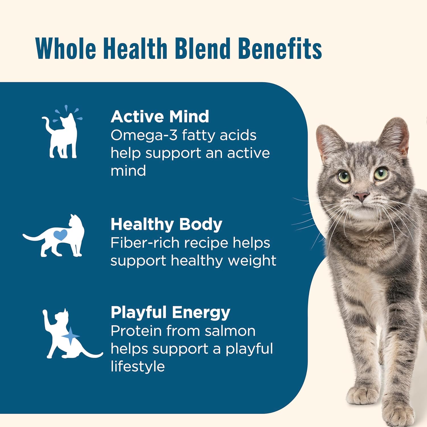 Nutrish Dry Cat Food Real Salmon Brown Rice 3 lb Bag Lifestyle Image