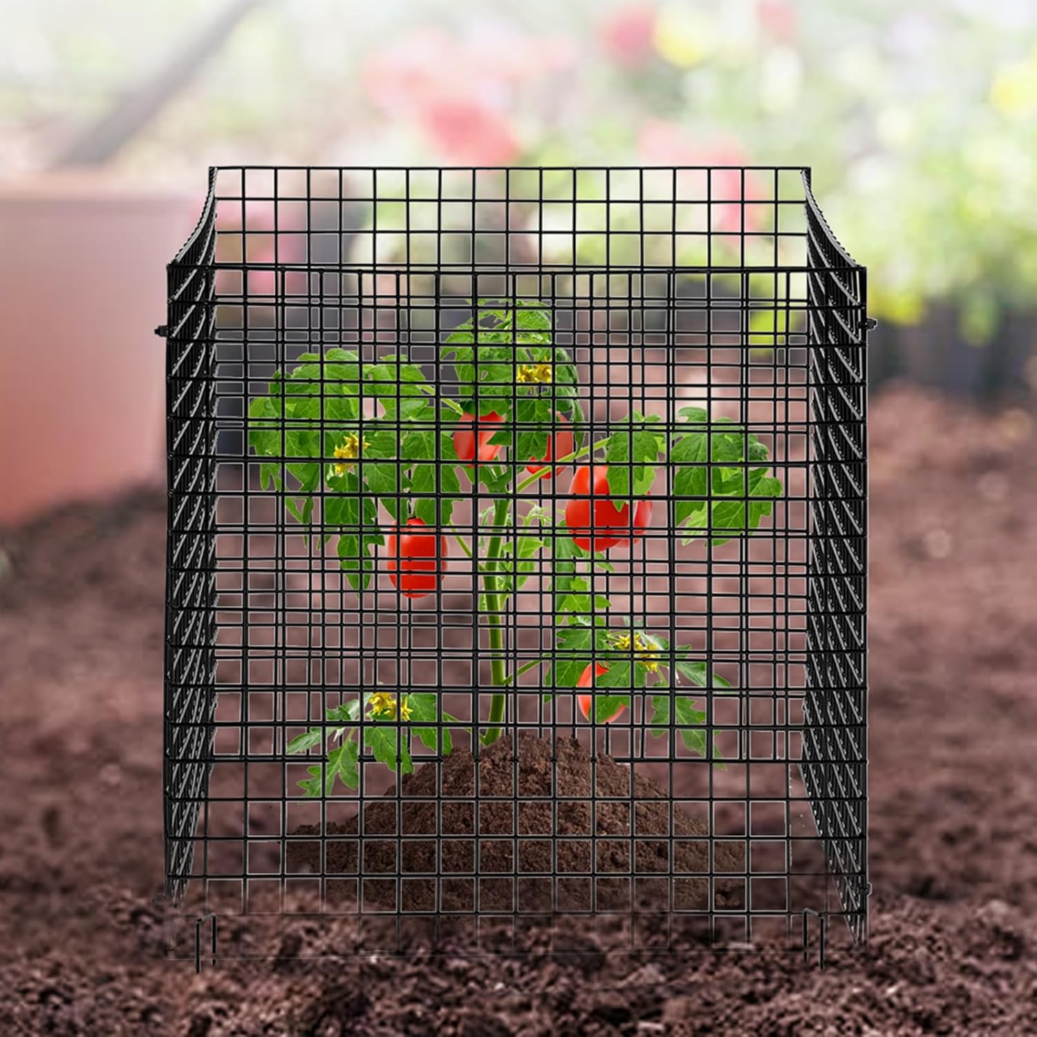 VEVOR 10 Pack Plant Protectors from Animals, 12'' x 12'' Chicken Wire Plant Protector, Plant Cages for Outdoor Plants, Flowers & Vegetables, Keeps Bunny Chicken Squirrels Out, 40pcs Metal Mesh
