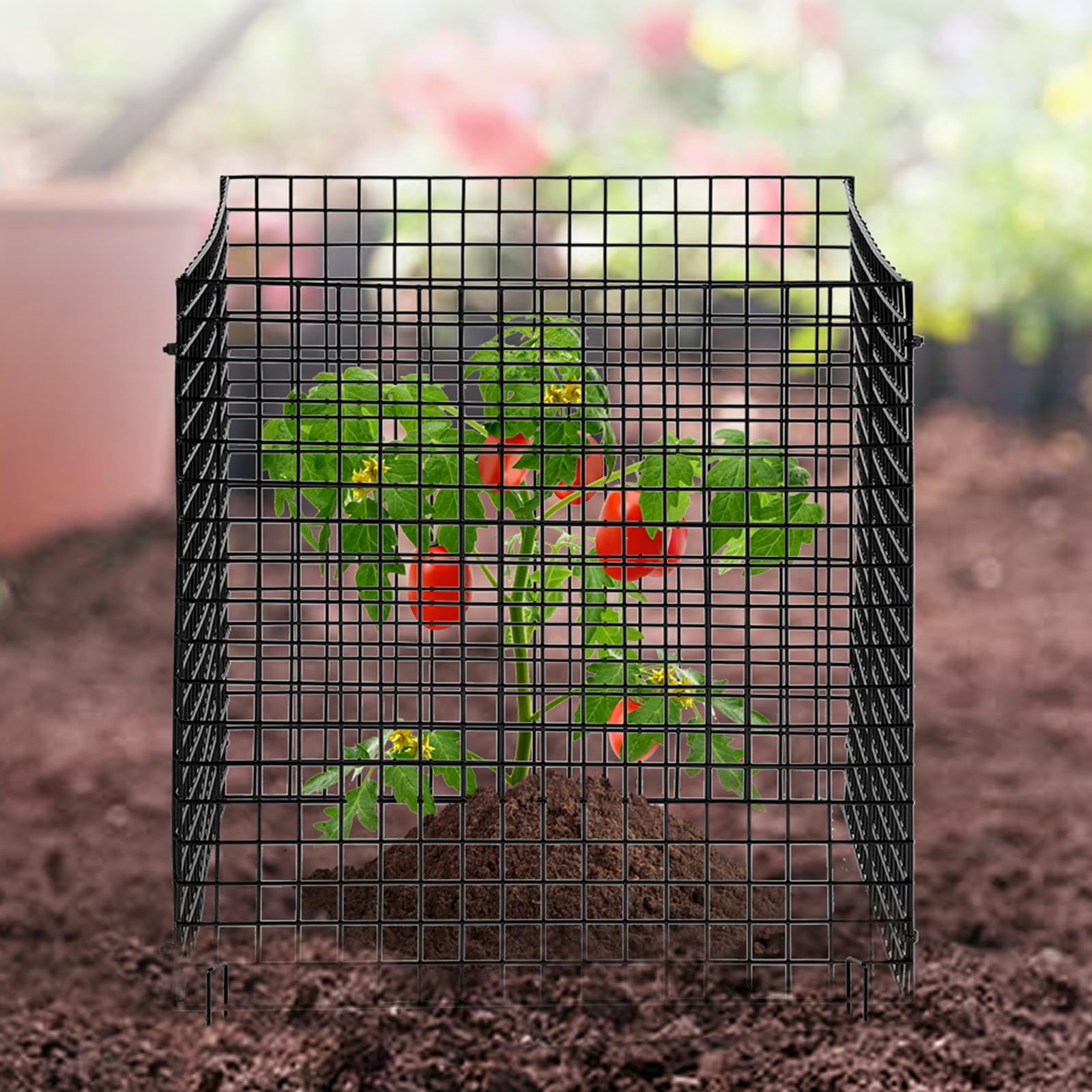 VEVOR Cage à Plantes Contre Animaux, Lot de 10, Grillage de Protection pour Plantes Fleurs légumes, 30,5x30,5 cm, 40 Mailles métalliques, Protecteur pour empêcher Lapins, Poules, écureuils d'entrer
