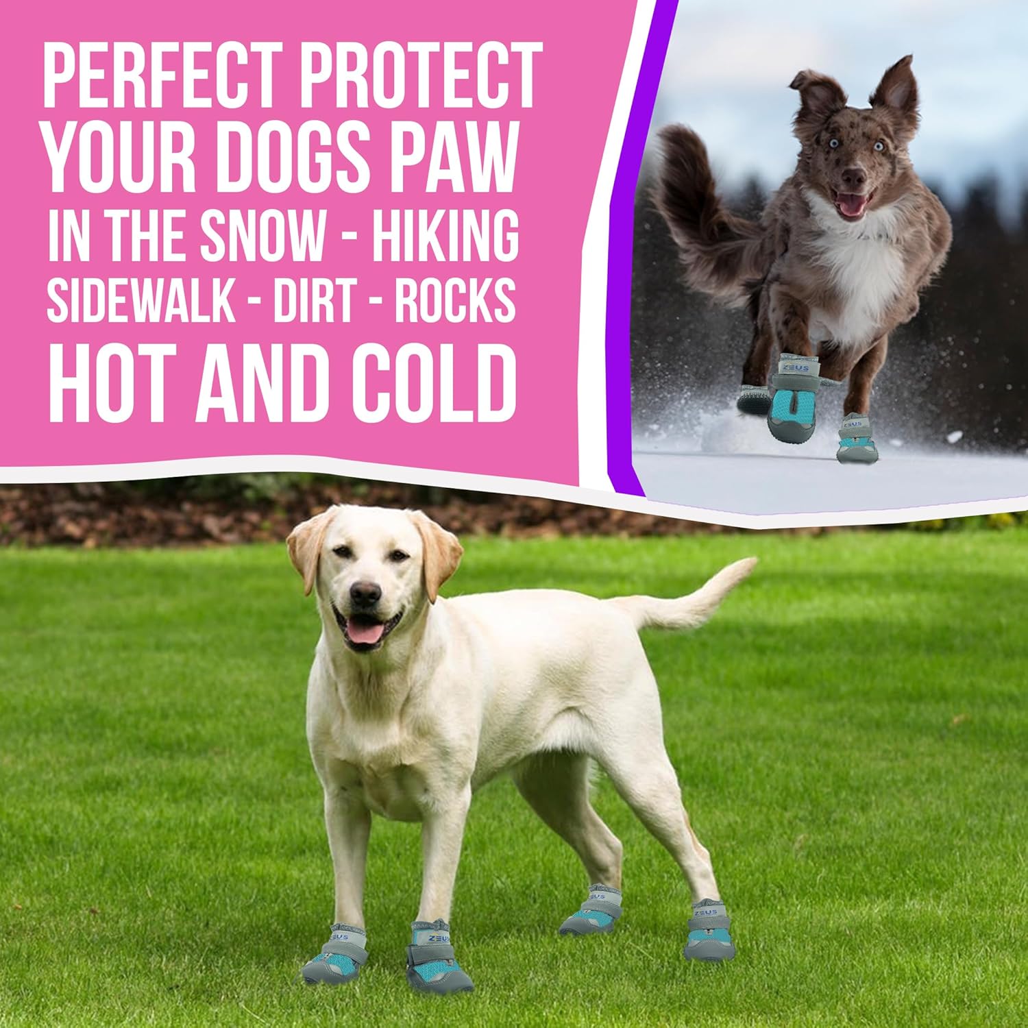 Zeus アーバンドッグブーツ &ndash; 通気性のある足プロテクター、滑り止めソール(4パック、サイズ3、ブルー)、小型犬用 | ハイキン
