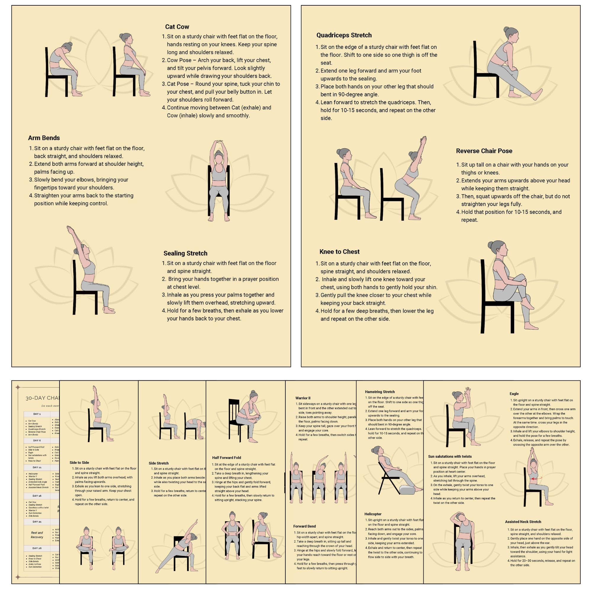 Senior Chair Yoga Challenge Program, 30 Day Exercise Guide-image-12