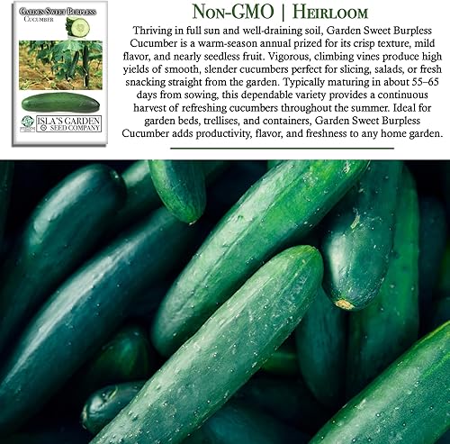 Miniatura 3 de Garden Sweet - Semillas de pepino sin eructos para plantar (Cucumis sativus) – Más de 50 semillas sin OMG y reliquias de Isla's Garden Seeds,