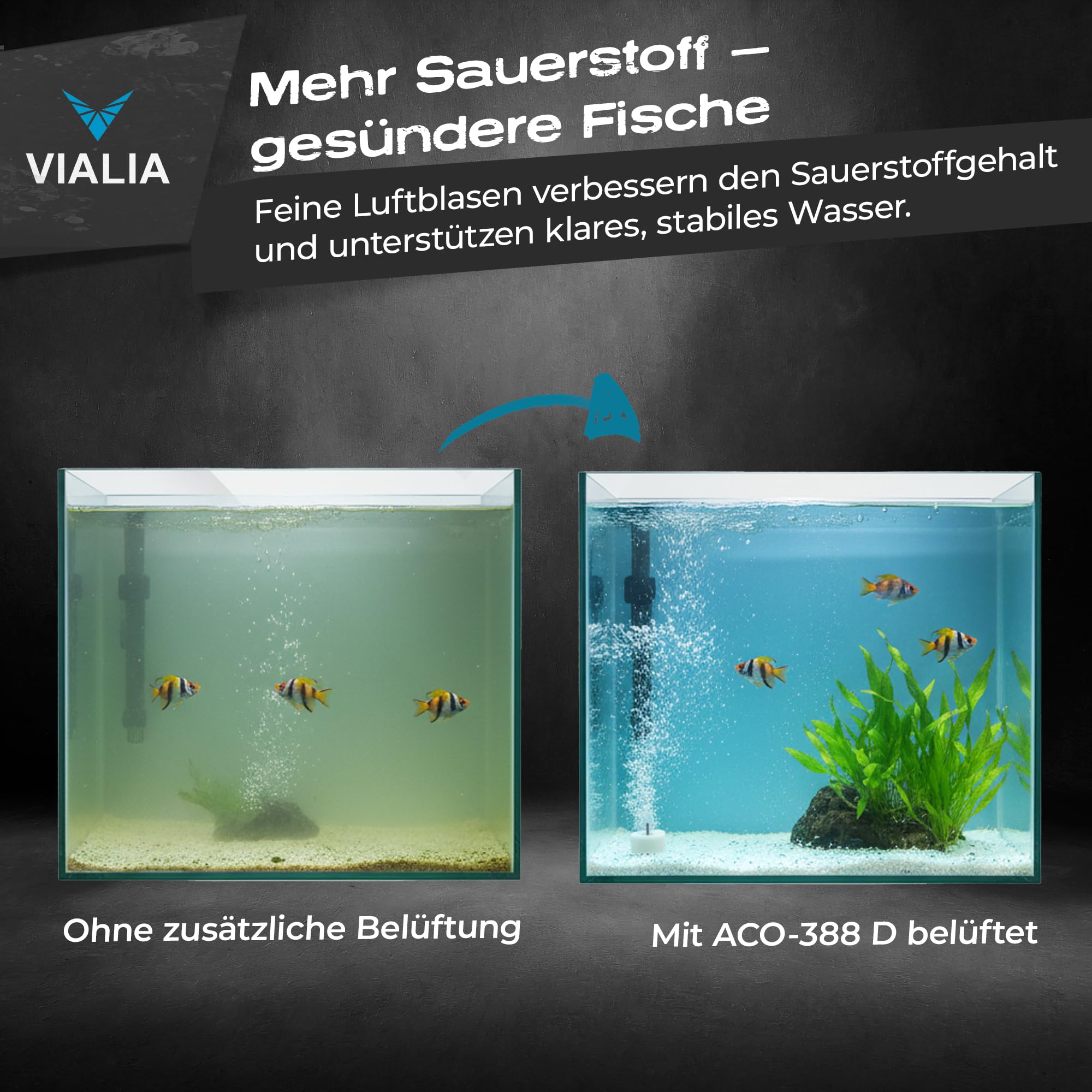 Luftpumpe ACO ölfrei, leise <60 dB, Aluminiumgehäuse, Luftkompressor für die Belüftung von Teich und Aquarium