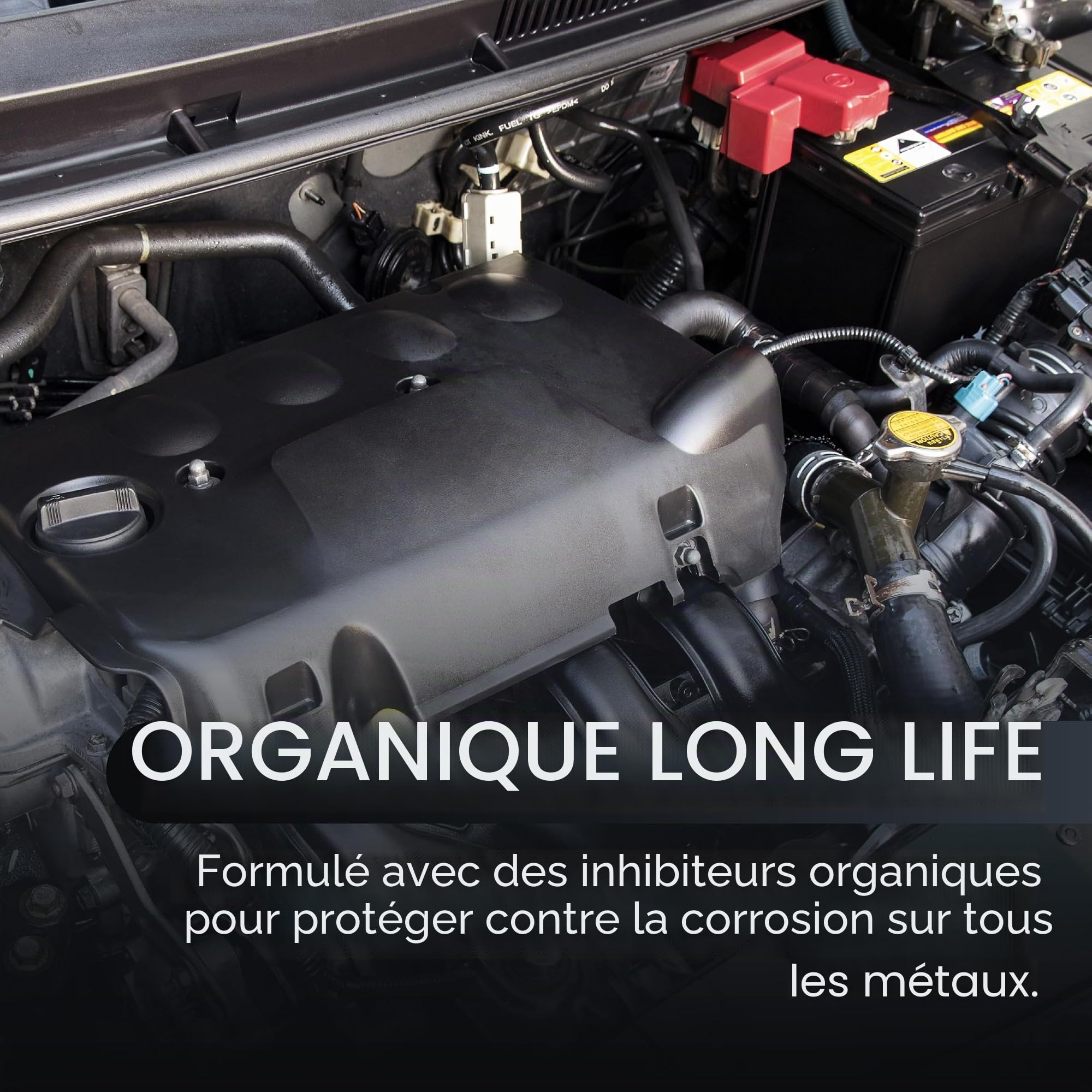 Liquide de Refroidissement Universel Voiture 30% | Protection -18ºC, 10 Litres Vert