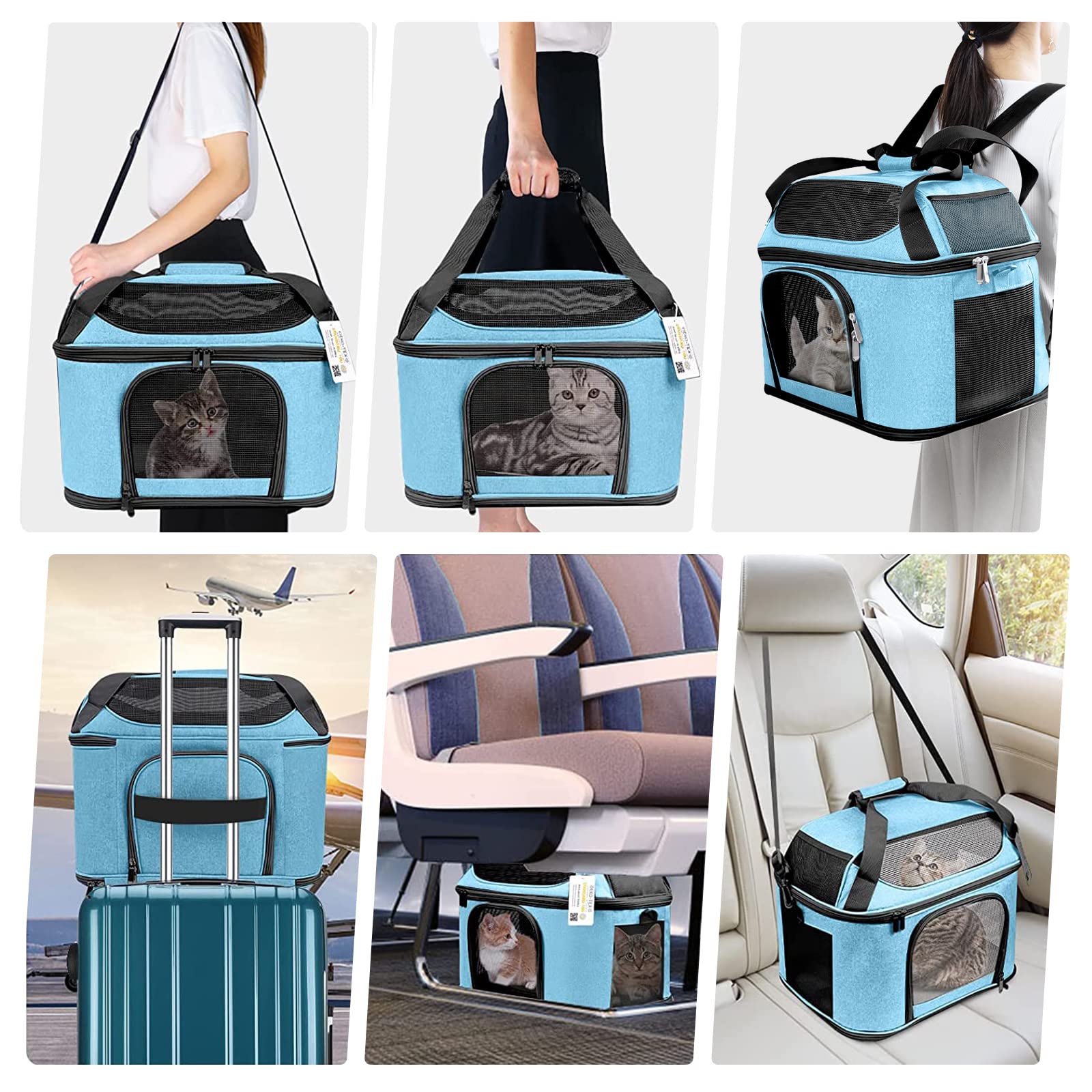 Transportín Grande para 2 Gatos, Perros pequeños y Mascotas de hasta 9 kg, Laterales Blandos, Plegable, homologación TSA para vuelos, Color Azul