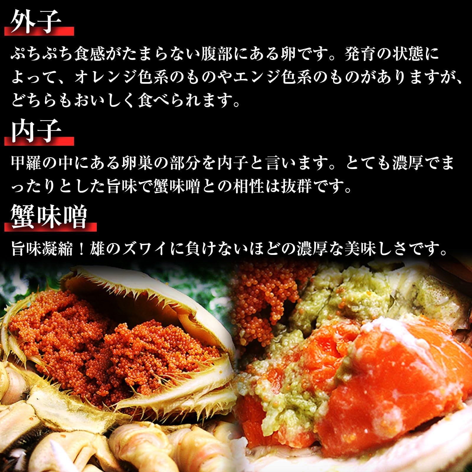 さいほくたんのかにやセコガニ セイコガニ（セコ蟹・香箱ガニ） | 京都丹後 プレミアム