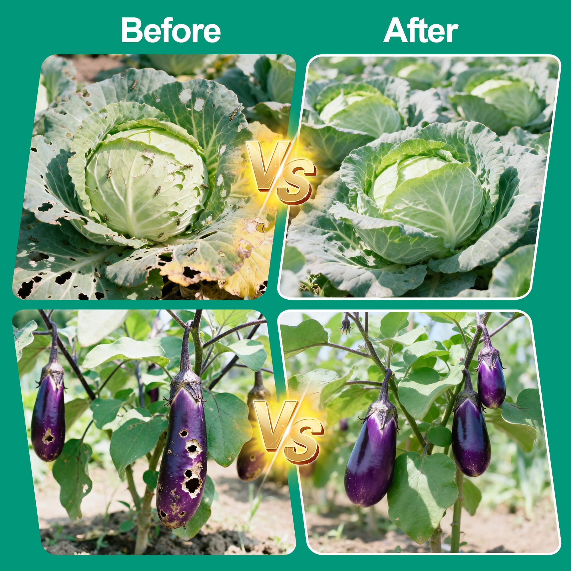 Filet Anti Insecte pour Potager Protection Légumes Fruits Fleurs 2.5 x 10m