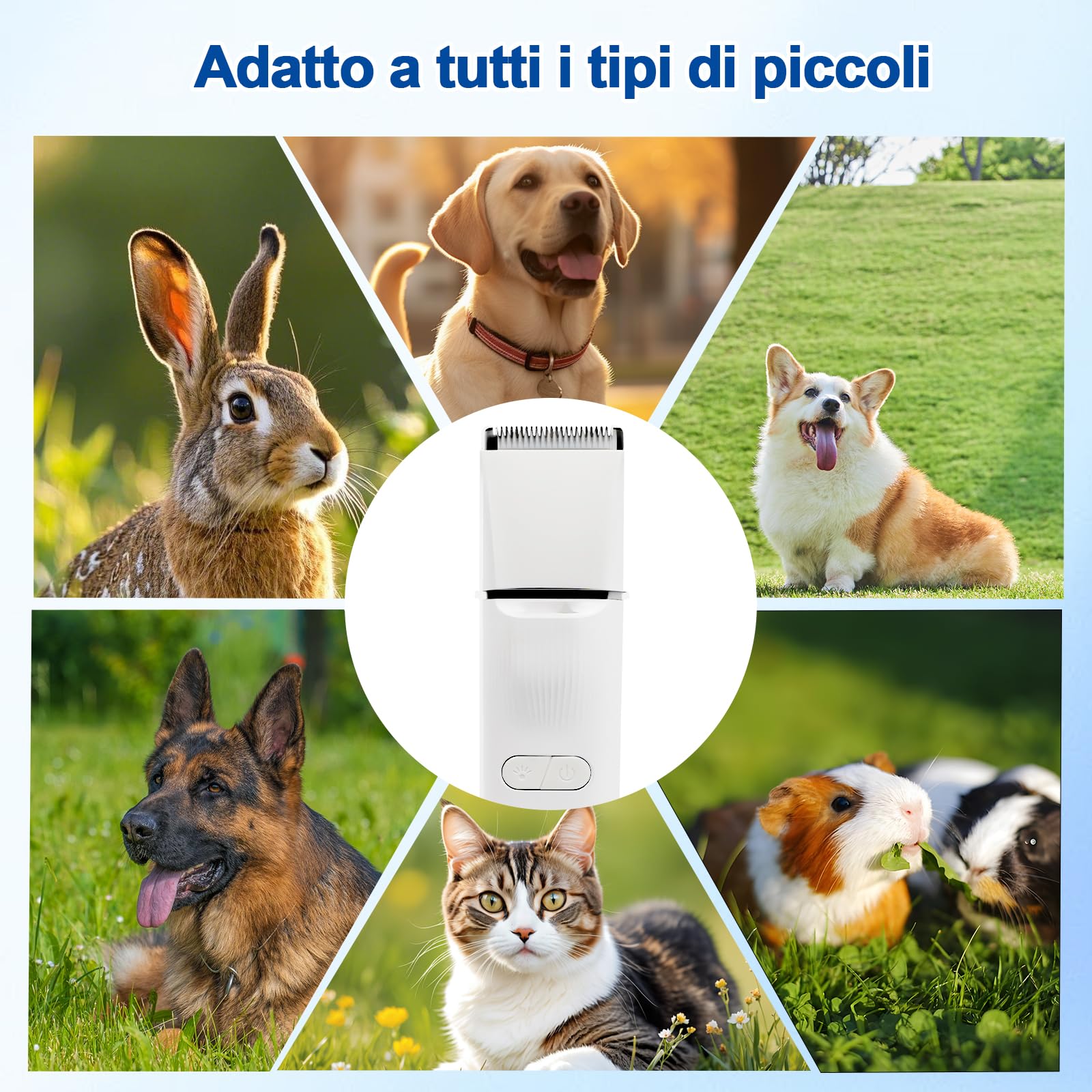 4 In 1 Tosatrice Per Cani Professionale, Rasoio Per Cani Con Luce LED E Lampada Viola UV, Silenzioso Tosatrice Per Gatti, Per Corpi, Zampe, Occhi, Orecchie, Viso (Bianco)