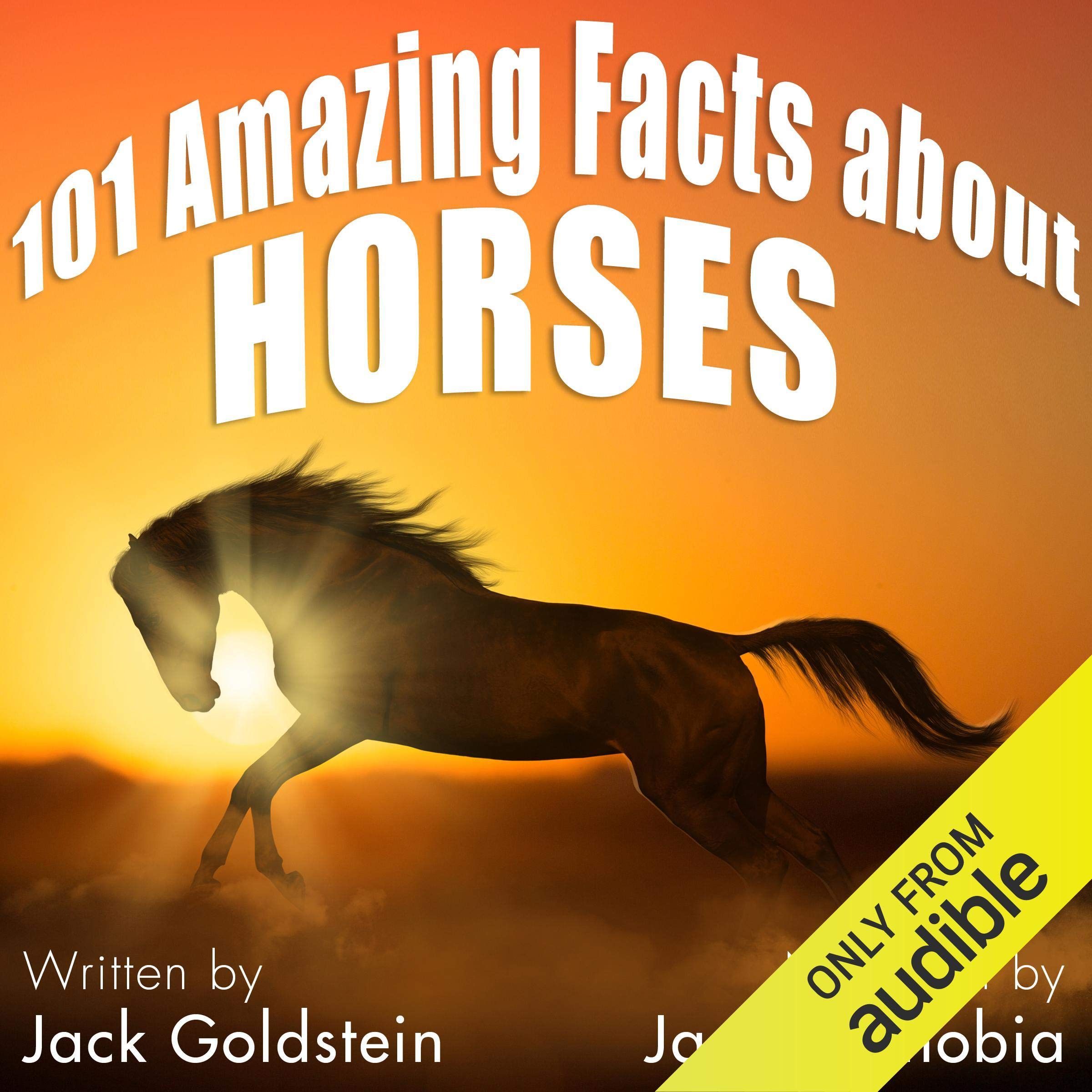 101 Amazing Facts About Horses