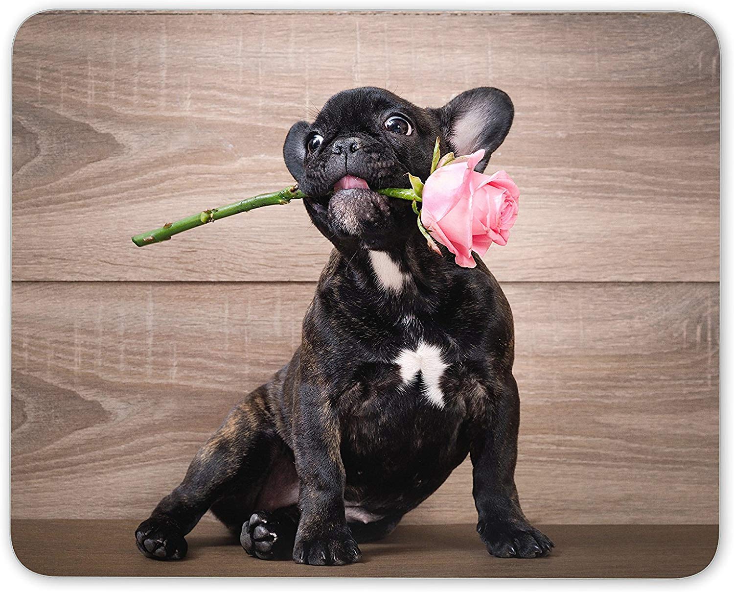 Cute French Bulldog Puppy Mouse Mat Pad - Dog Rose Girls Gift PC Computer #8715