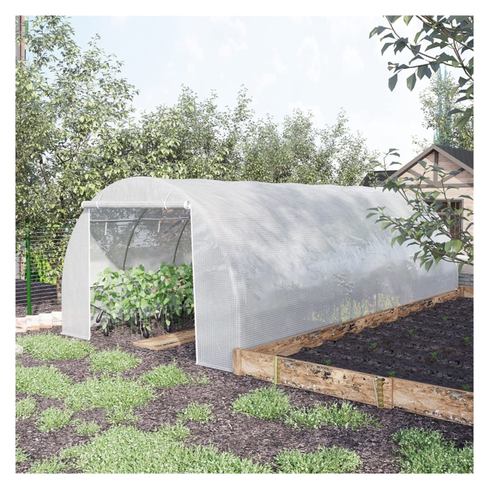 Serra da Balcone Giardino Tunnel Grande Serra da Esterno con Telaio in Acciaio Resistente, Inverno Giardino Serre Polytunnel Casa Calda per Piante di Pomodoro (Size : W100 x H100 x L200cm)