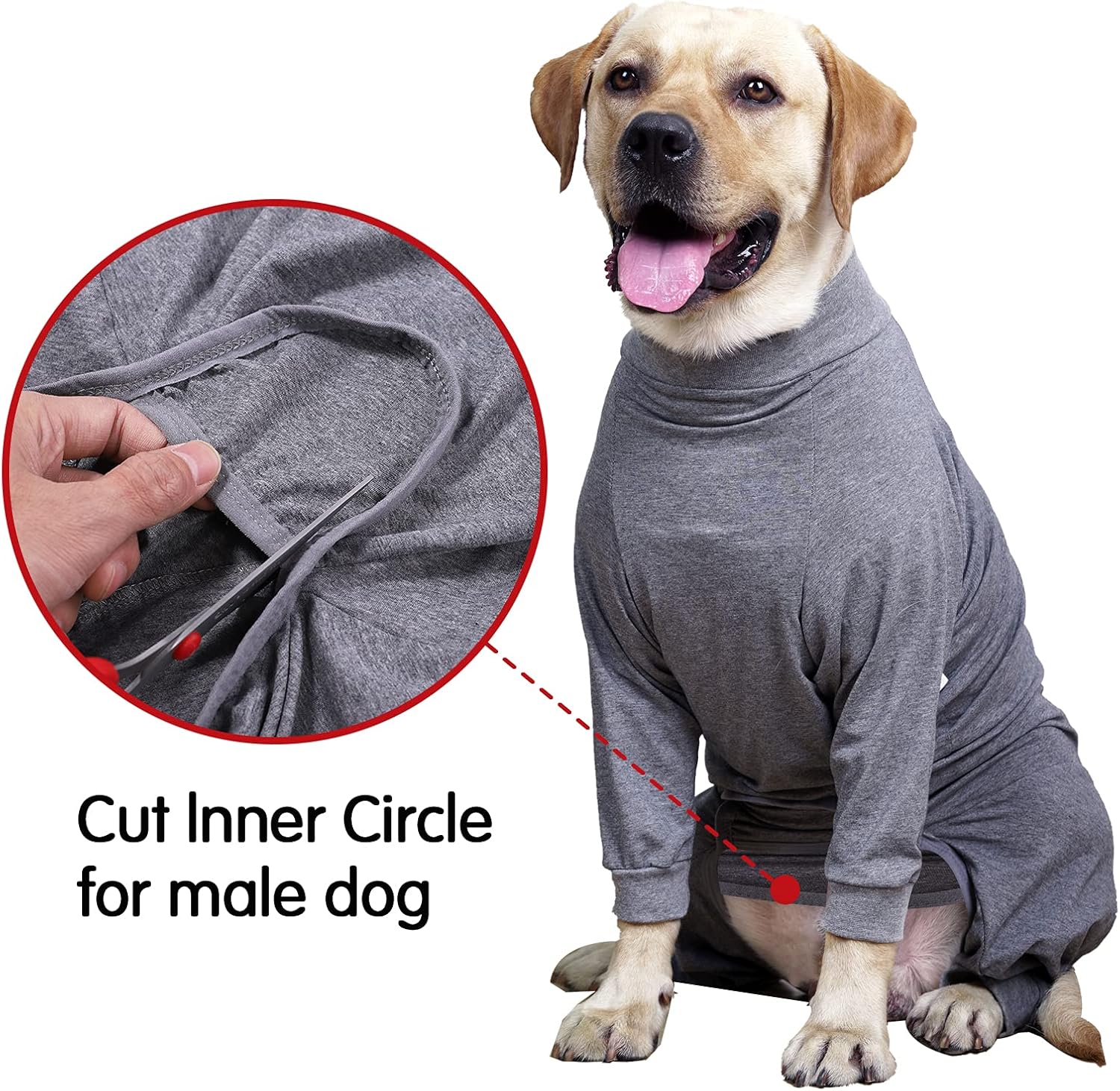 Buy Dog Recovery Suit Abdominal Wound After Surgery Wear Prevent Licking Wounds E Collar Cone Alternatives Postoperative Shirt Dog Pajamas Long Sleeve Prevent Shedding Online In Turkey B092v6jfxz