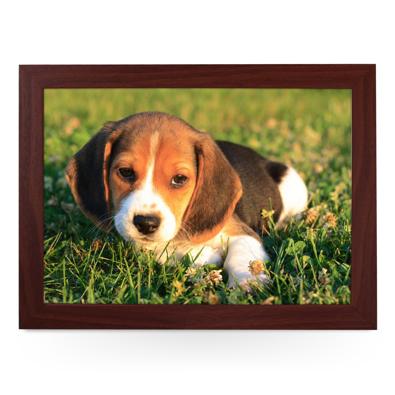 Portable Lap Desk Tray (Beagle Puppy) Handmade Wooden Frame, Beanbag Cushioned Bottom | Computers, Laptops, Meals, Food | L0159 Brown