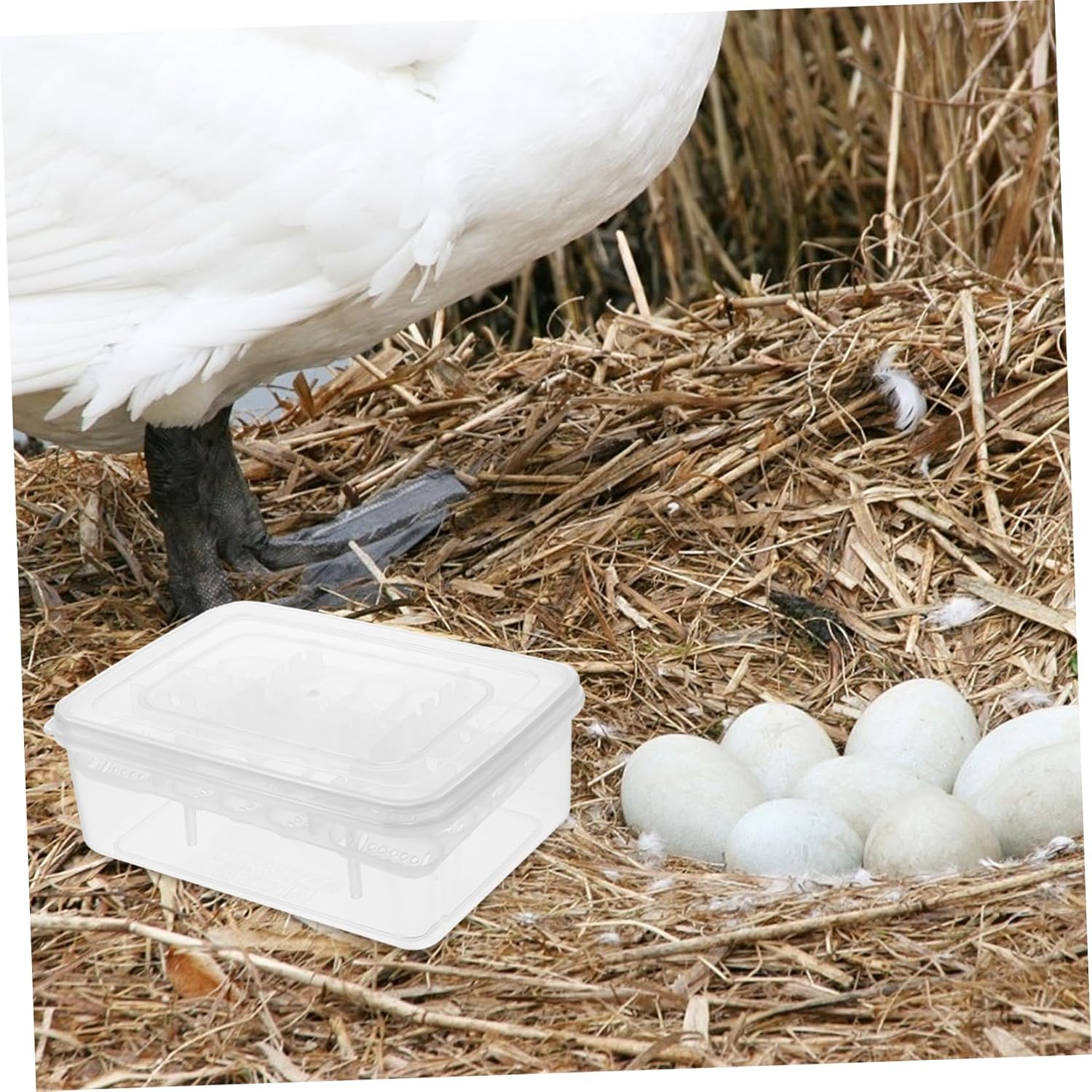 2pcs Trays Incubation Box 16 Compartment Pet Supply Easy to Observe Birth of Small Reptiles