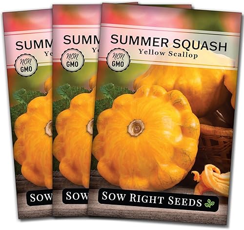 Miniatura 8 de Sow Right Seeds - Semilla de calabaza vieira amarilla para plantar - Paquete de reliquia sin OMG con instrucciones para plantar un huerto casero,