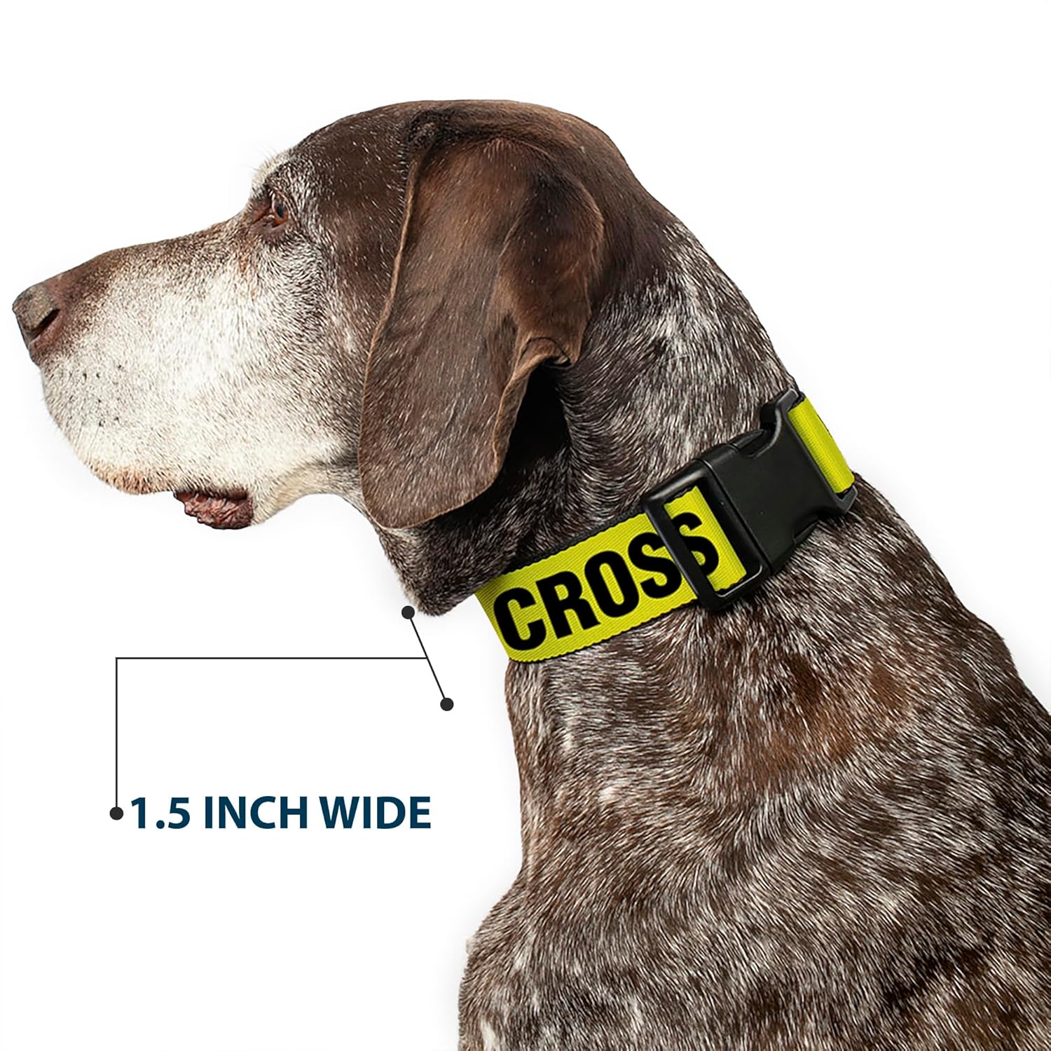 Dog Collar Plastic Clip Crime Scene Do Not Cross Yellow Black 16 to 23 Inches 1.5 Inch Wide