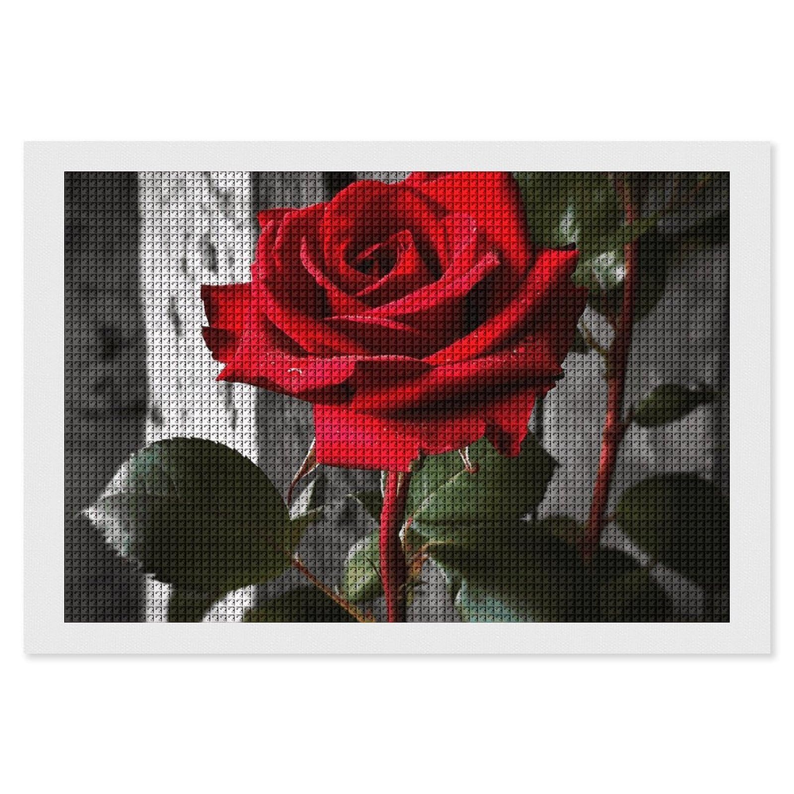 NONHAI Diamond Painting Kits for Adults - DIY Diamond Art Kits for Beginners - Full 5D Paint Drill Diamond Dots Paintings- Blooming Red Rose Diamonds Pictures Gem Art and Craft Wall Decor 8"x12"