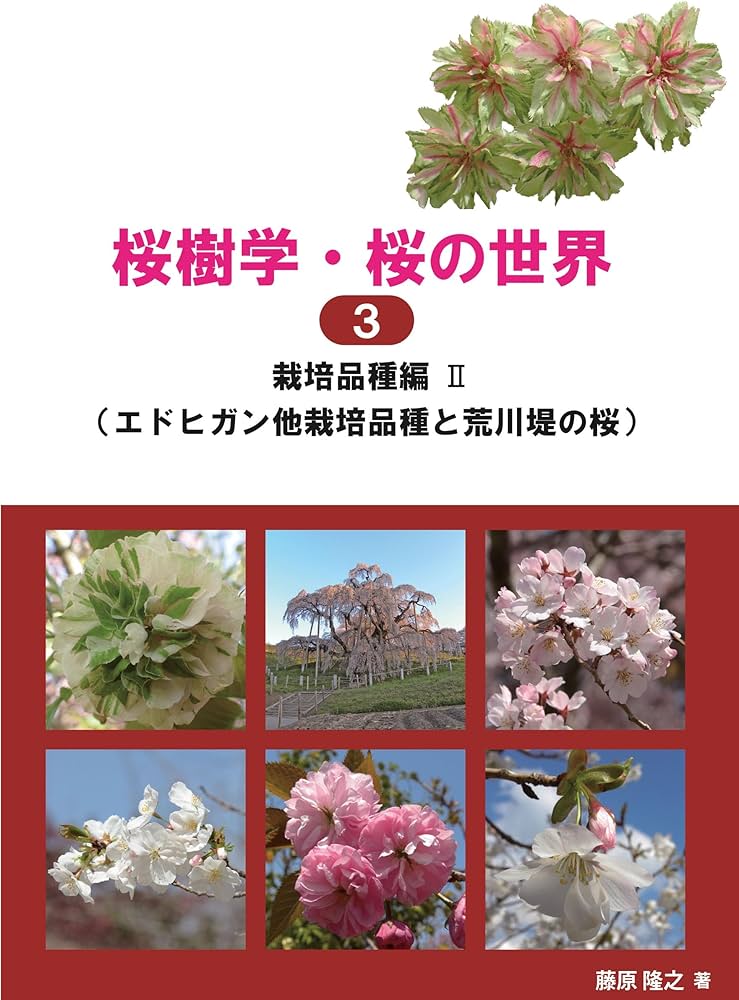 桜樹学・桜の世界3 栽培品種編Ⅱ（エドヒガン他栽培品種と荒川堤の桜