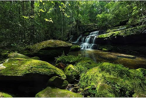 Forest Waterfall Aquarium Background Jungle Rainforest Stream Fish Tank Backgrou